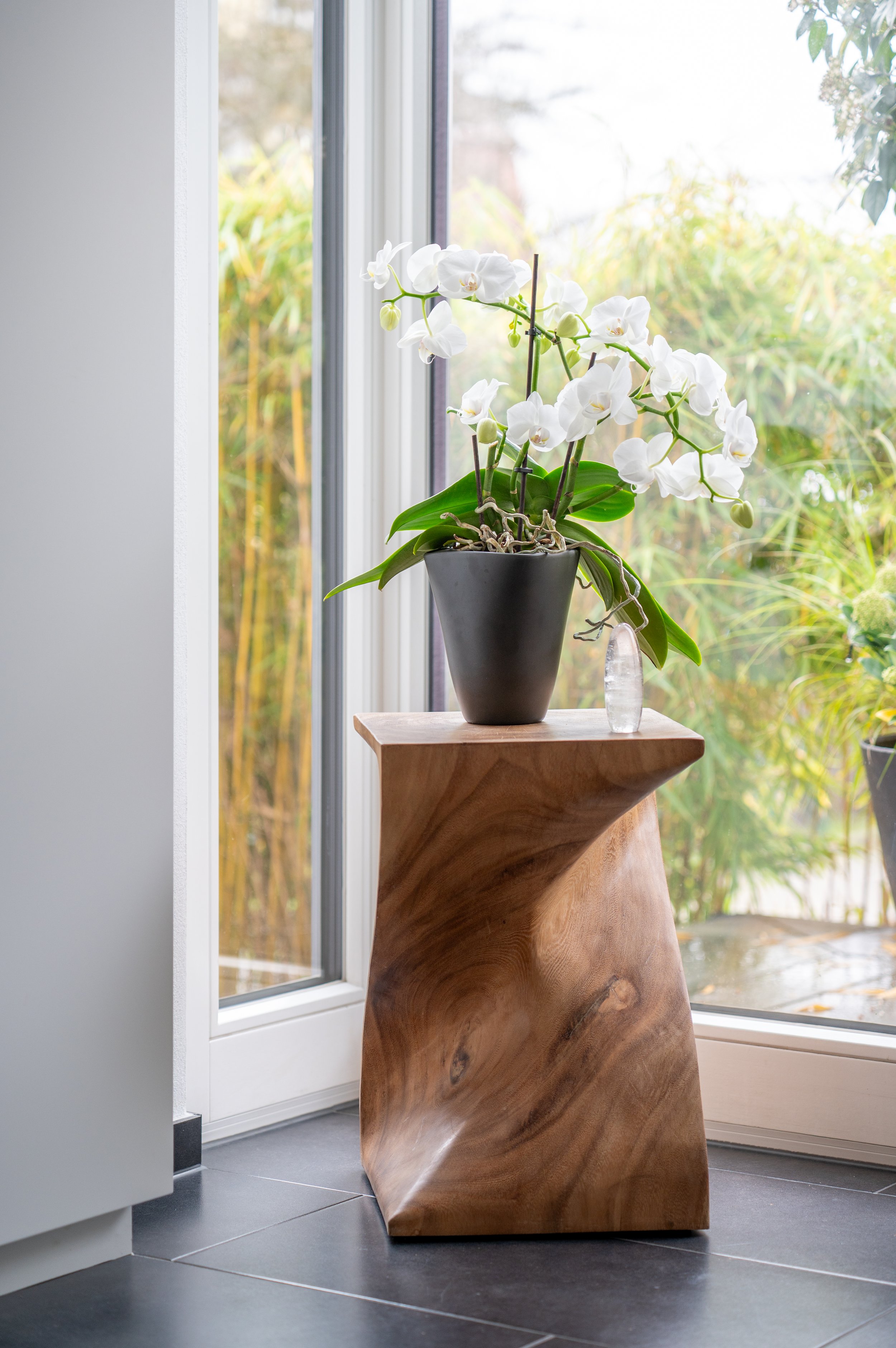 Zimmerpflanze mit weißen Orchideen in einer schwarzen Vase auf einem Holzständer neben einem Fenster
