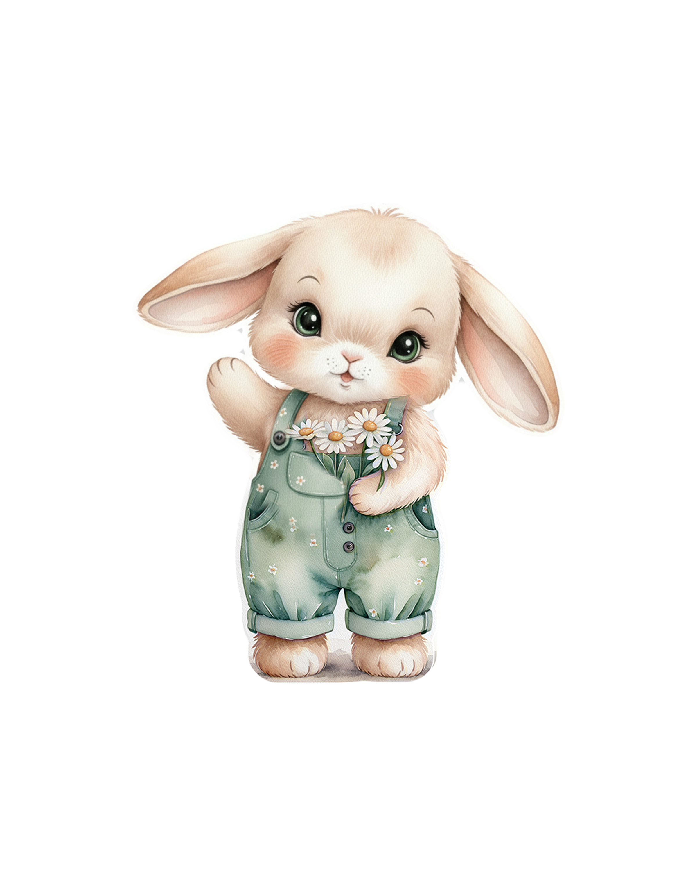 Daisy Bunny
