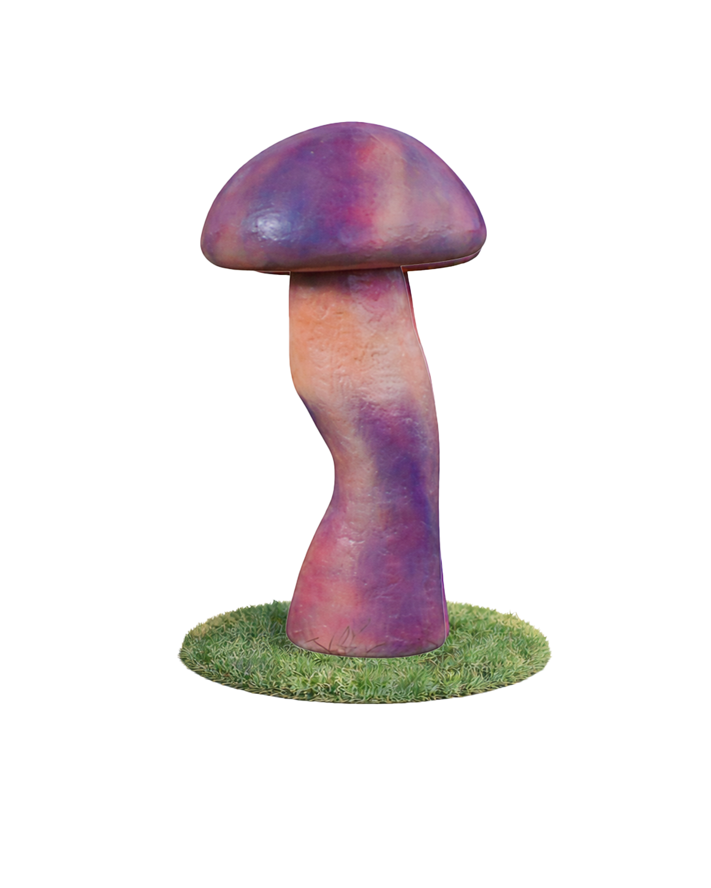 гриб для обложки.png