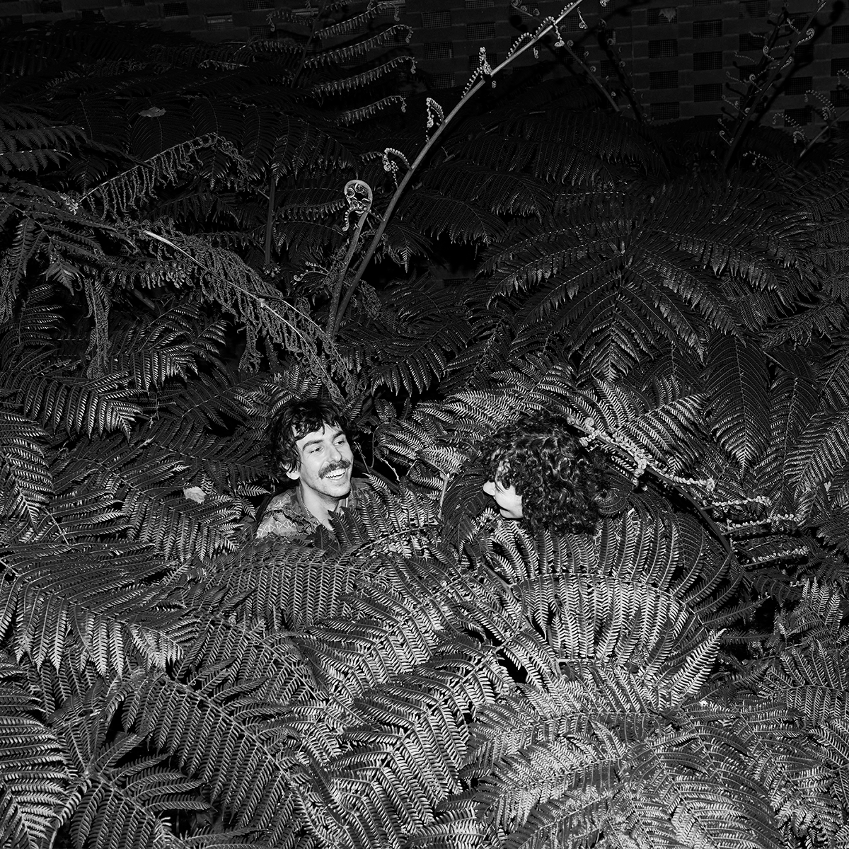 Two people with curly hair and a man with a mustache are smiling and talking among large fern leaves in a jungle-like setting.