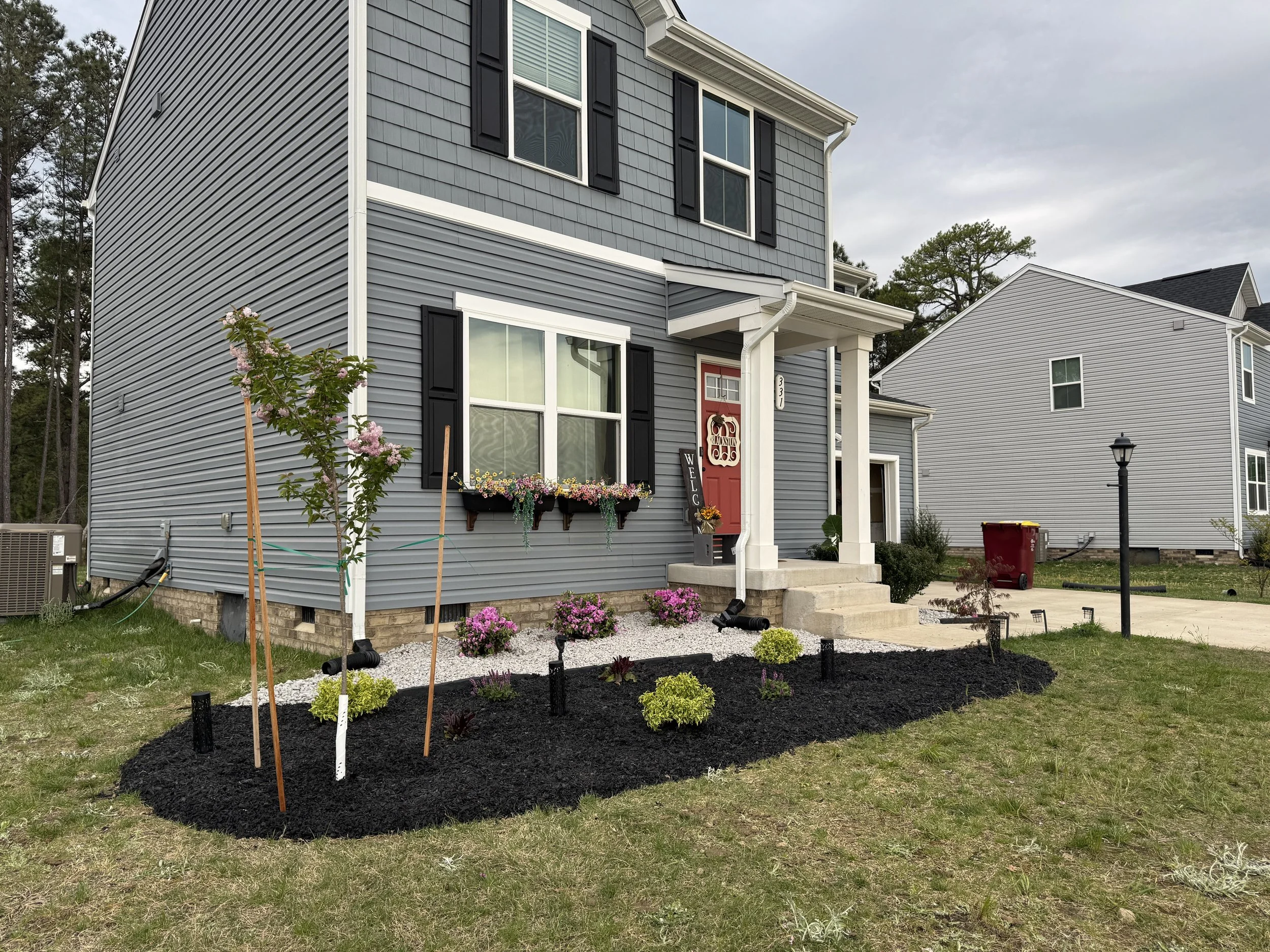 Front yard landscaping with black mulch, small bushes, a young tree with support stakes