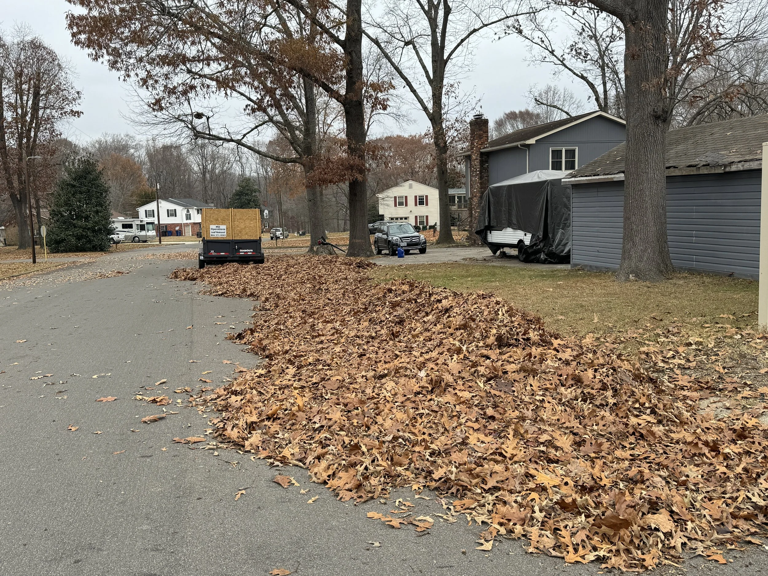 A suburban street with fallen autumn leaves piled along the curb, parked cars, and houses in the background under an overcast sky.
