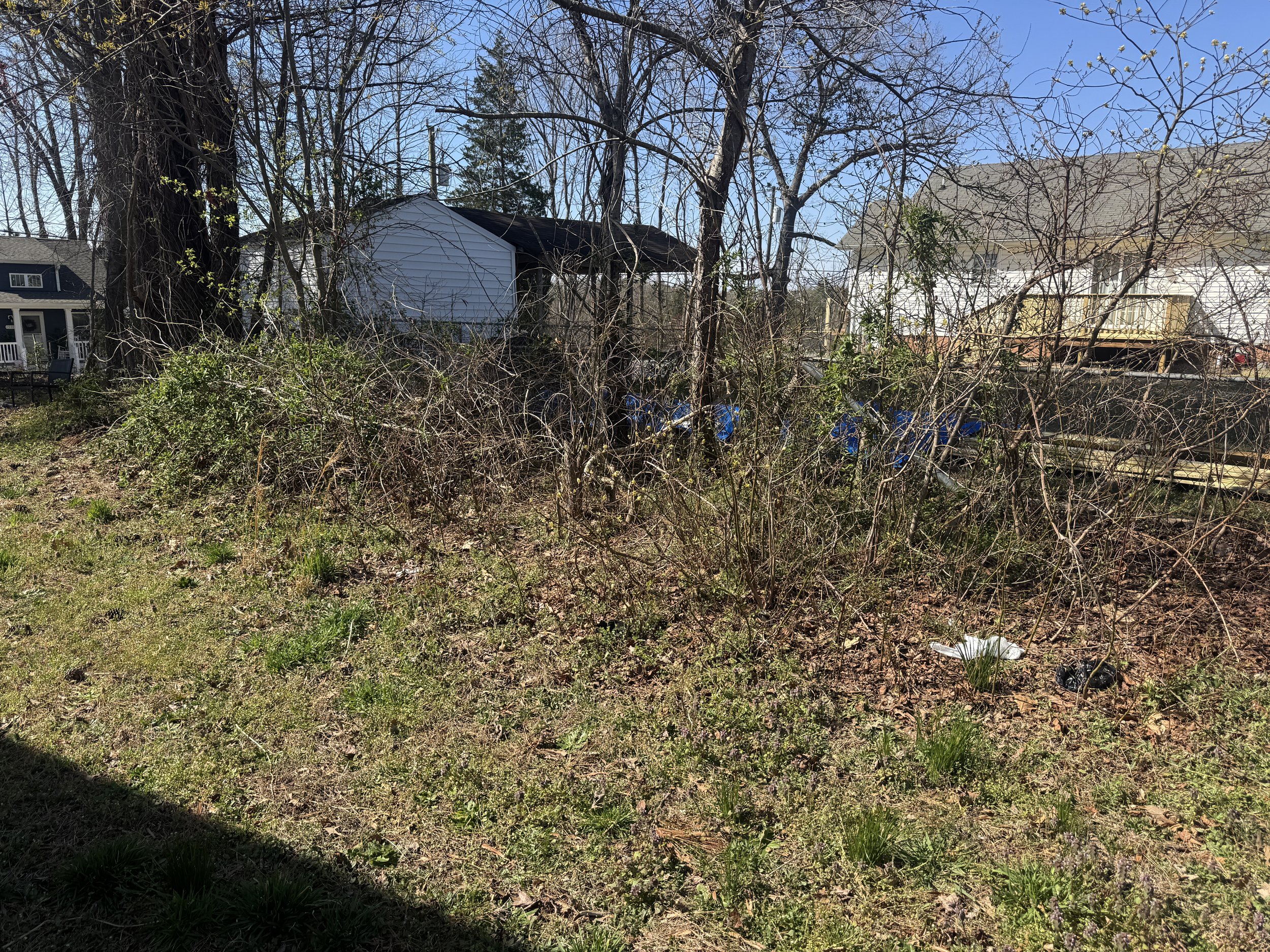 seasonal property cleanups midlothian va