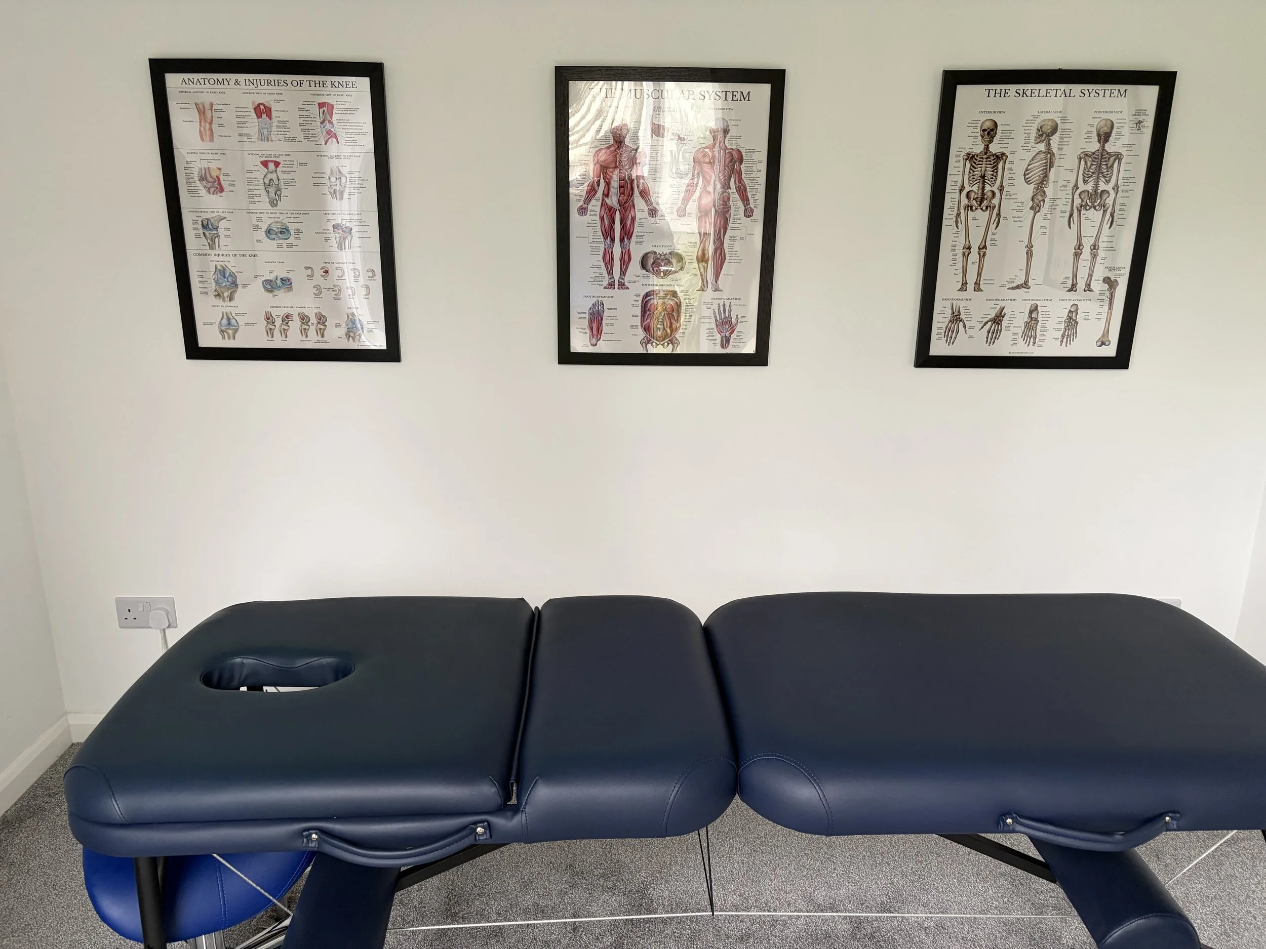 A black massage or treatment table in a room with three anatomical posters on the wall behind it, depicting the knee, muscular system, and skeletal system.
