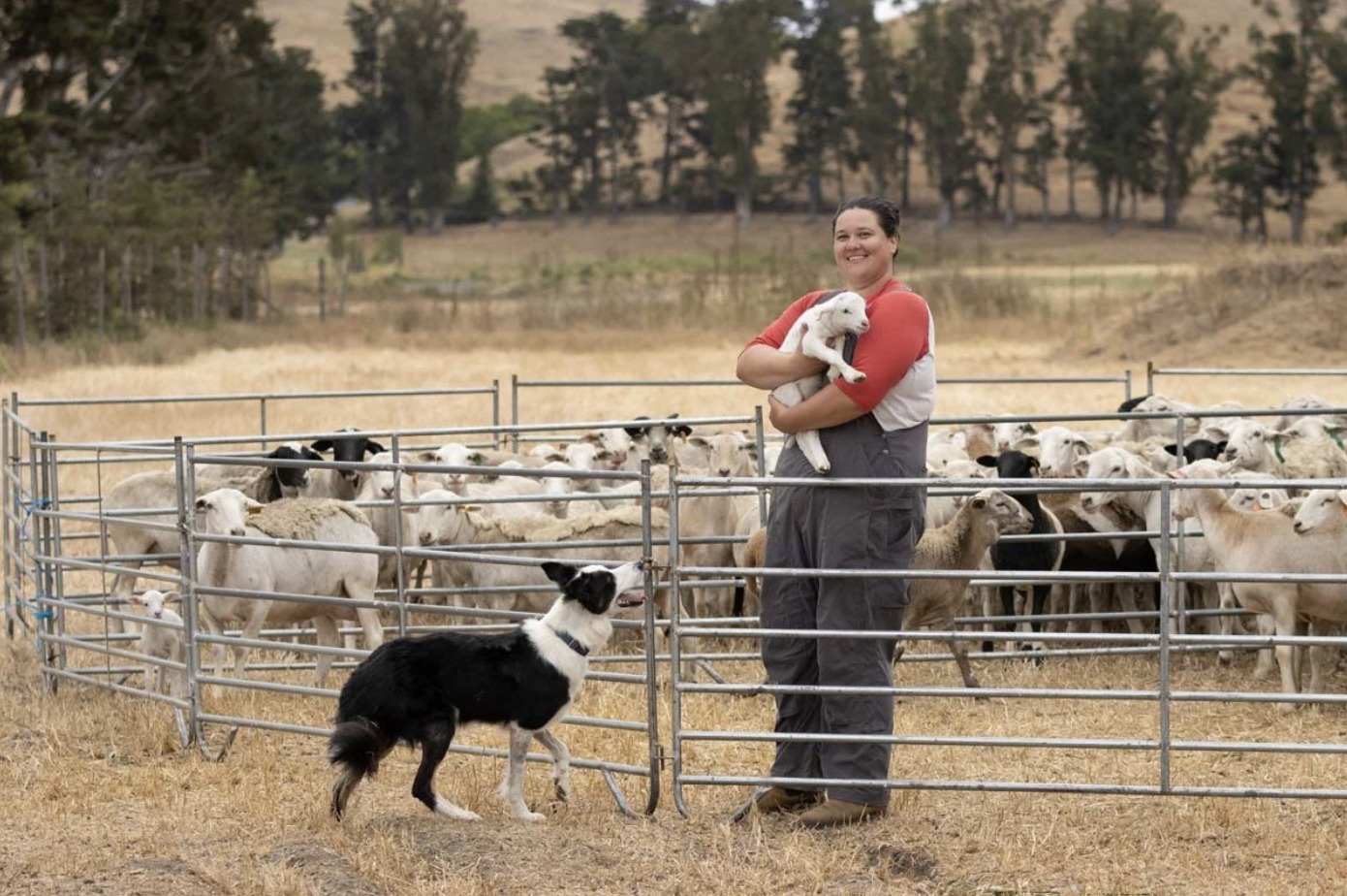 A shepherd on a mission: healing the soil