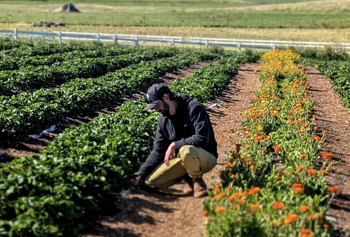 A human from the soil up
