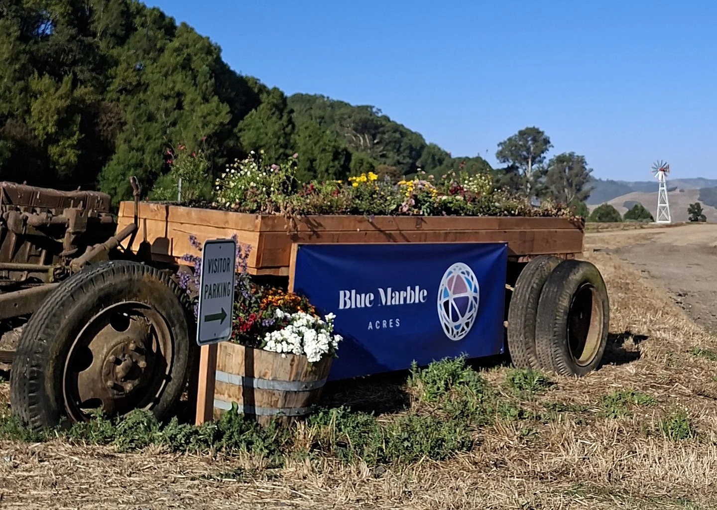 Transforming raw land into celebration: 5th anniversary behind the scenes