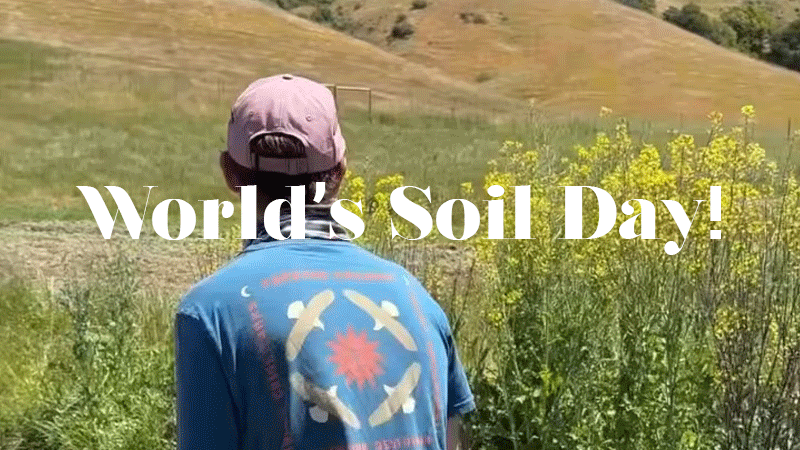 A farmer walking and explaining World's Soil Day celebration