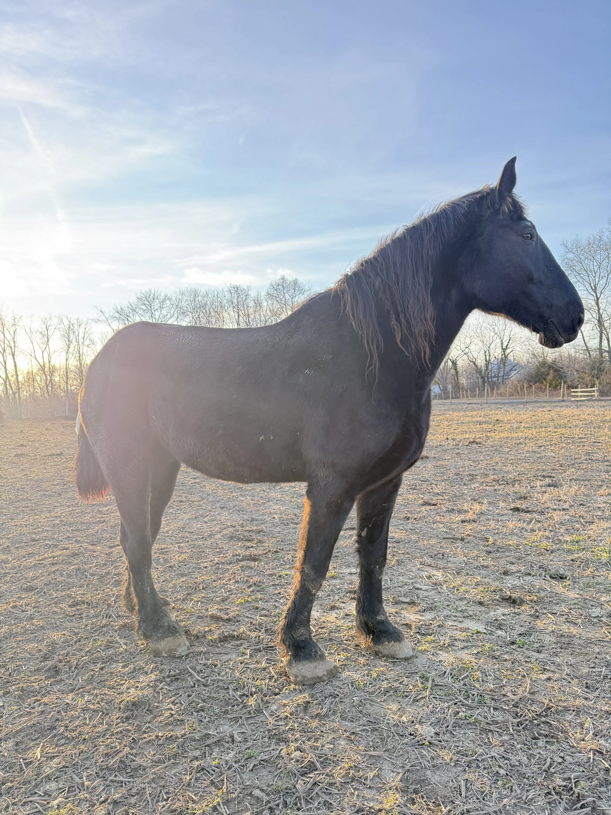 Duncan in recovery in 2025