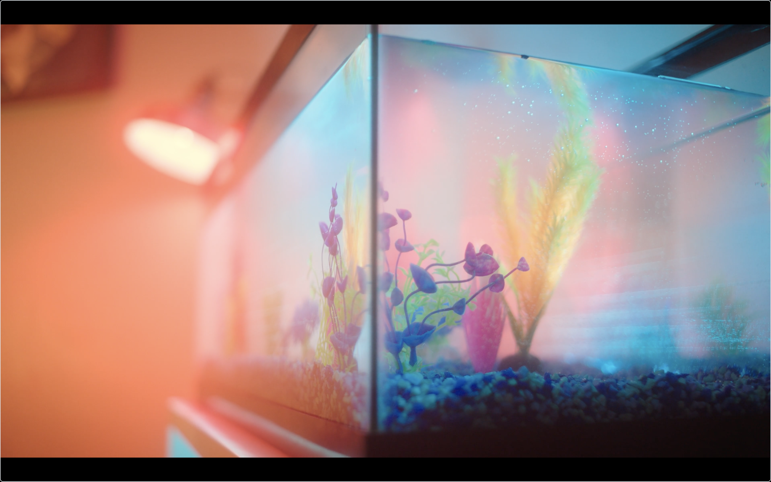 20 Questions - Director, Writer, Editor, & Producer