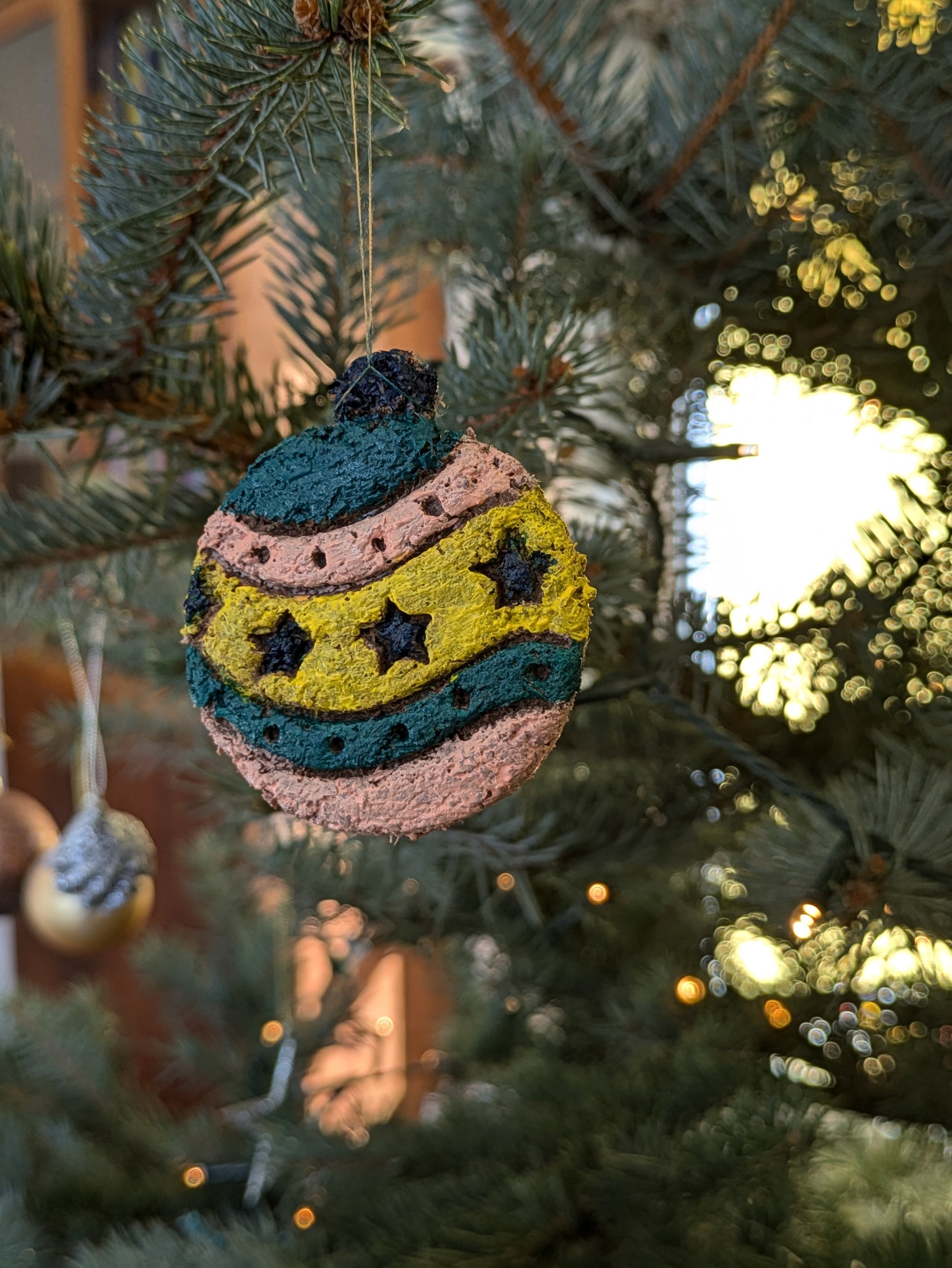 Festive Biomaterials Workshop