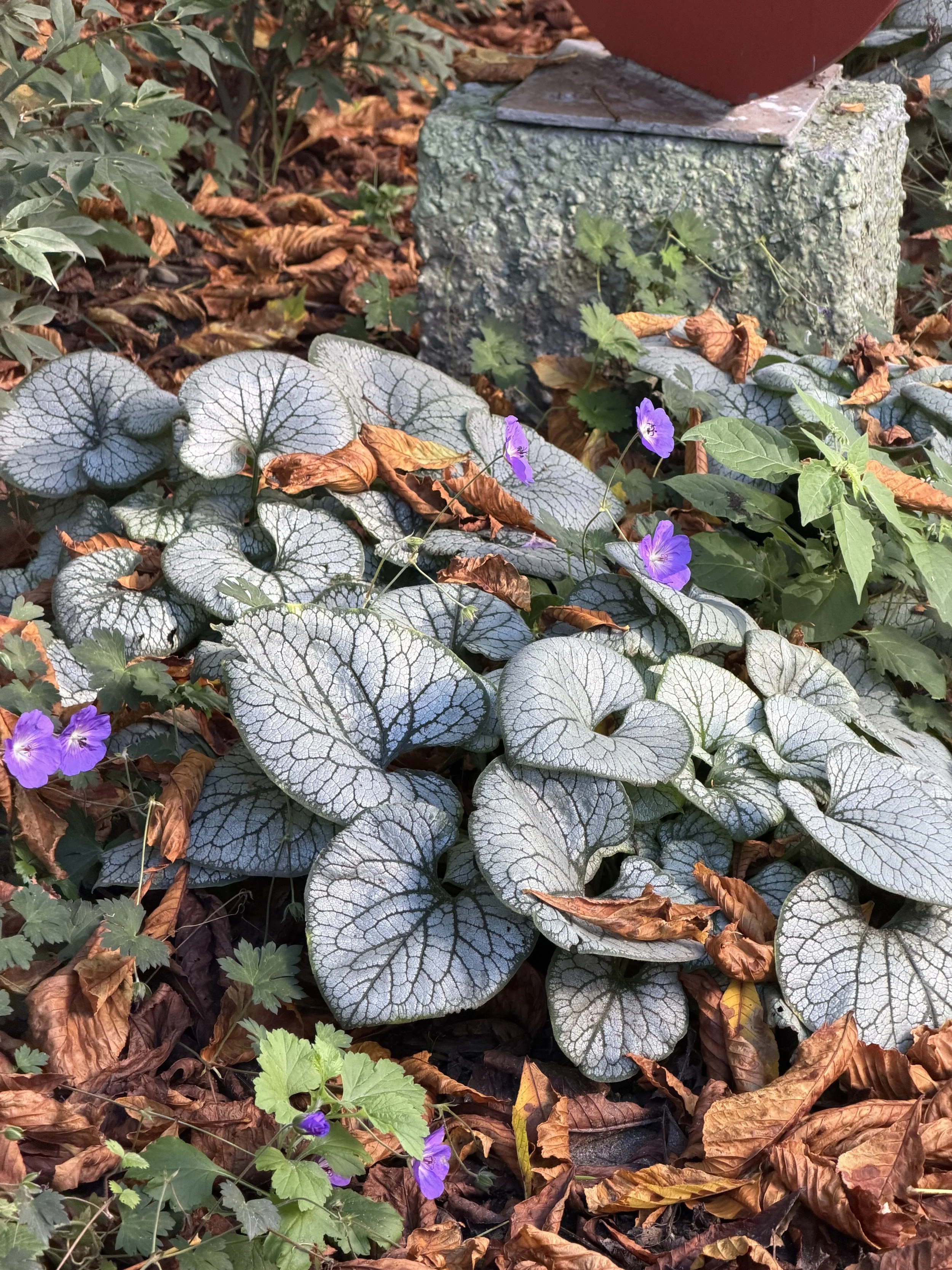 Mehr Licht, mehr Blüten, mehr Leben