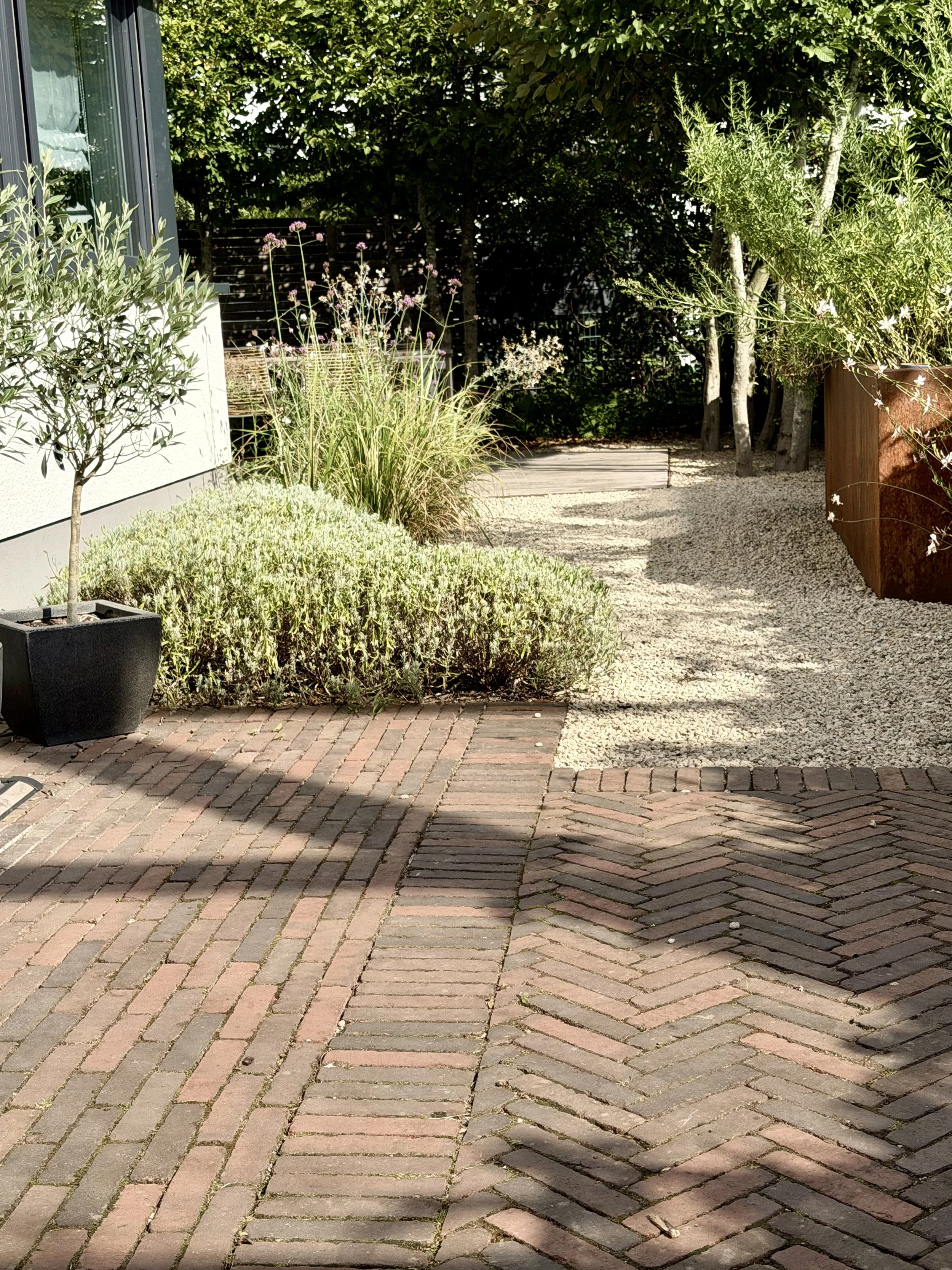Ein Garten mit einer Pflanze in einem schwarzen Topf, einem Busch, einem Kiesweg, einem Holzsitz, Bäumen im Hintergrund und einer hohen Zäunung, sonnig und grün.