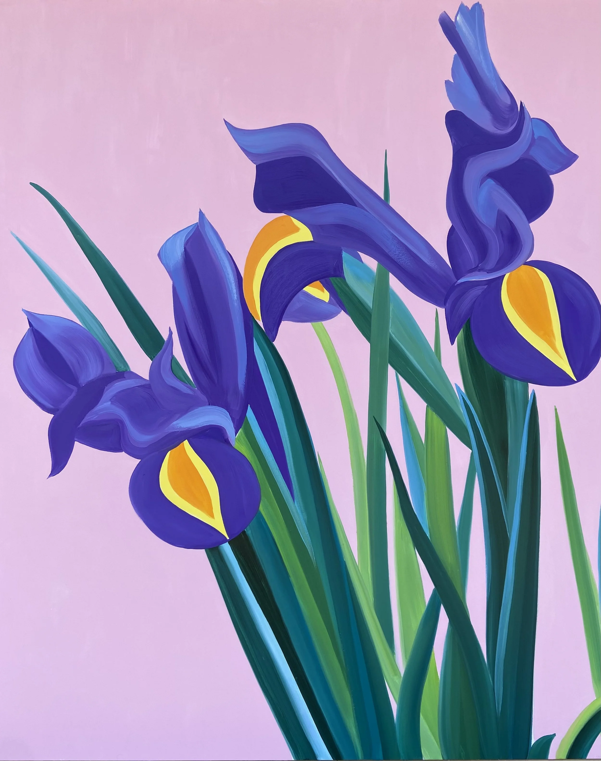 Close-up Irises 2026 Oil on Canvas 162x130 cm