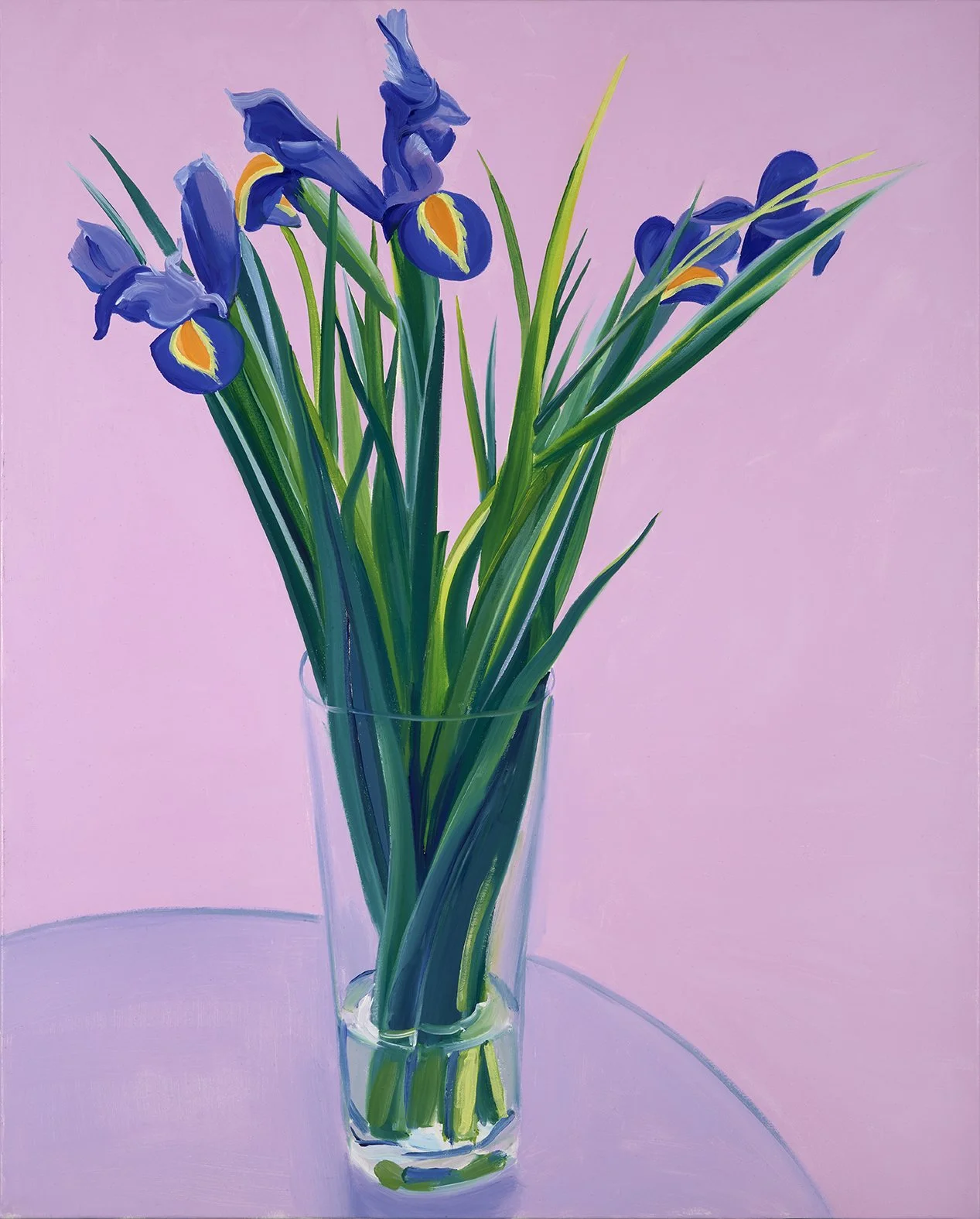 Irises 2025, Oil on Canvas 81x65 cm