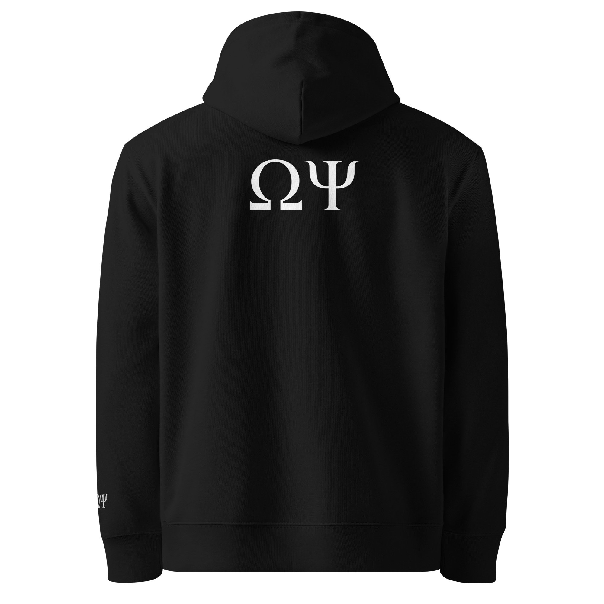 ΩΨ Hoodie