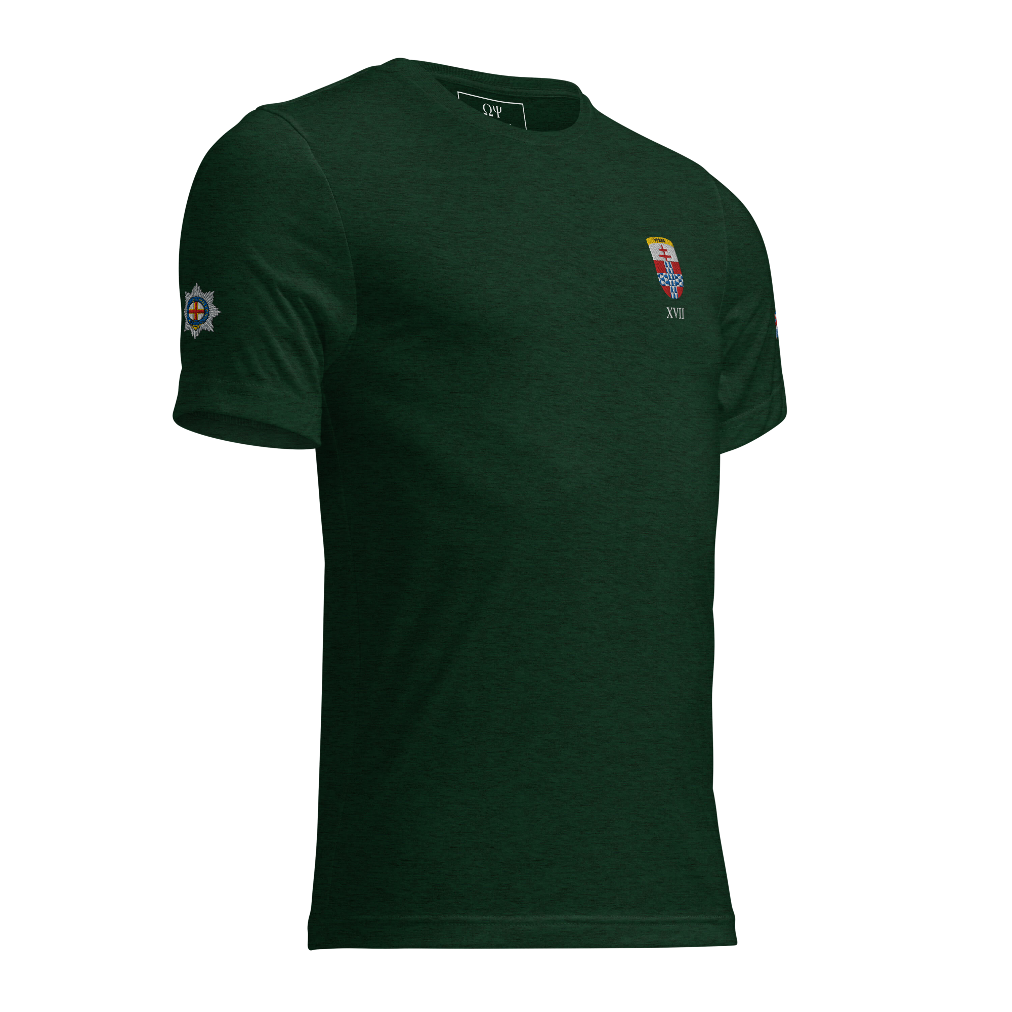 unisex-tri-blend-t-shirt-emerald-triblend-right-front-6a27d1053fc0a.png
