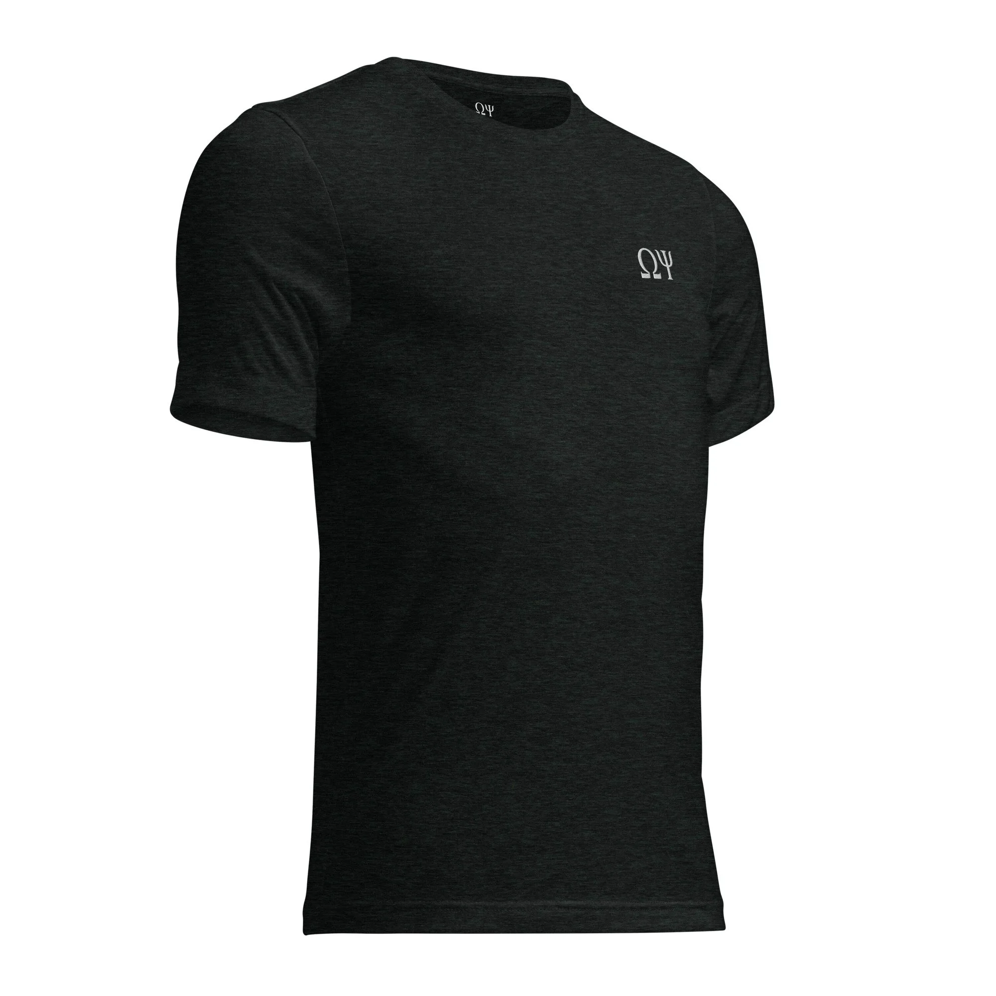 unisex-tri-blend-t-shirt-charcoal-black-triblend-right-front-694abe808f45d.jpg