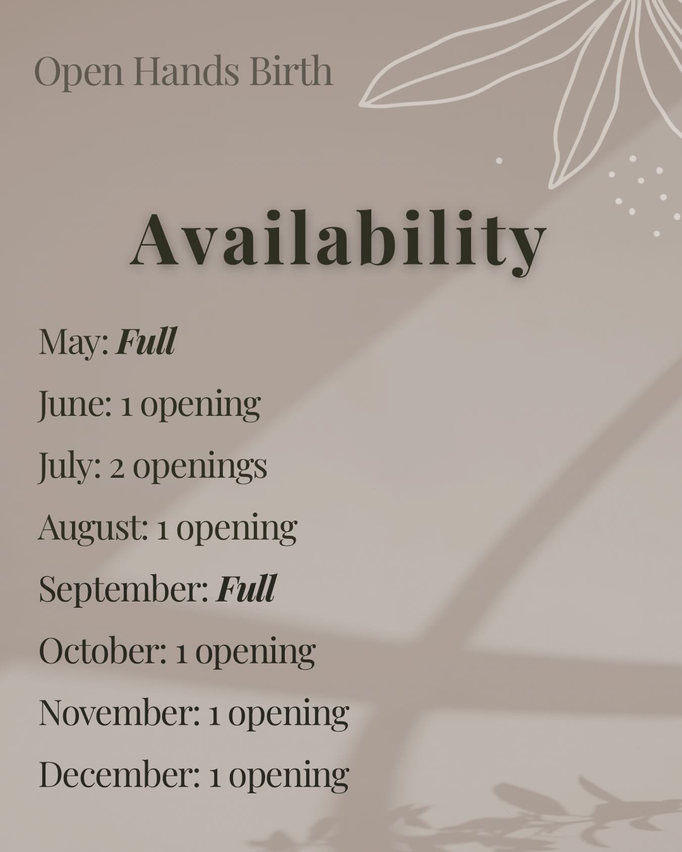 Current birth availability 

May: FULL ✅
June: 1 opening
July: 2 openings 
August: 1 opening
September: FULL ✅
October: 1 opening 
November: 1 opening
December: 1 opening

To the mom out there questioning her ability, strength, grit, and power. Imagi