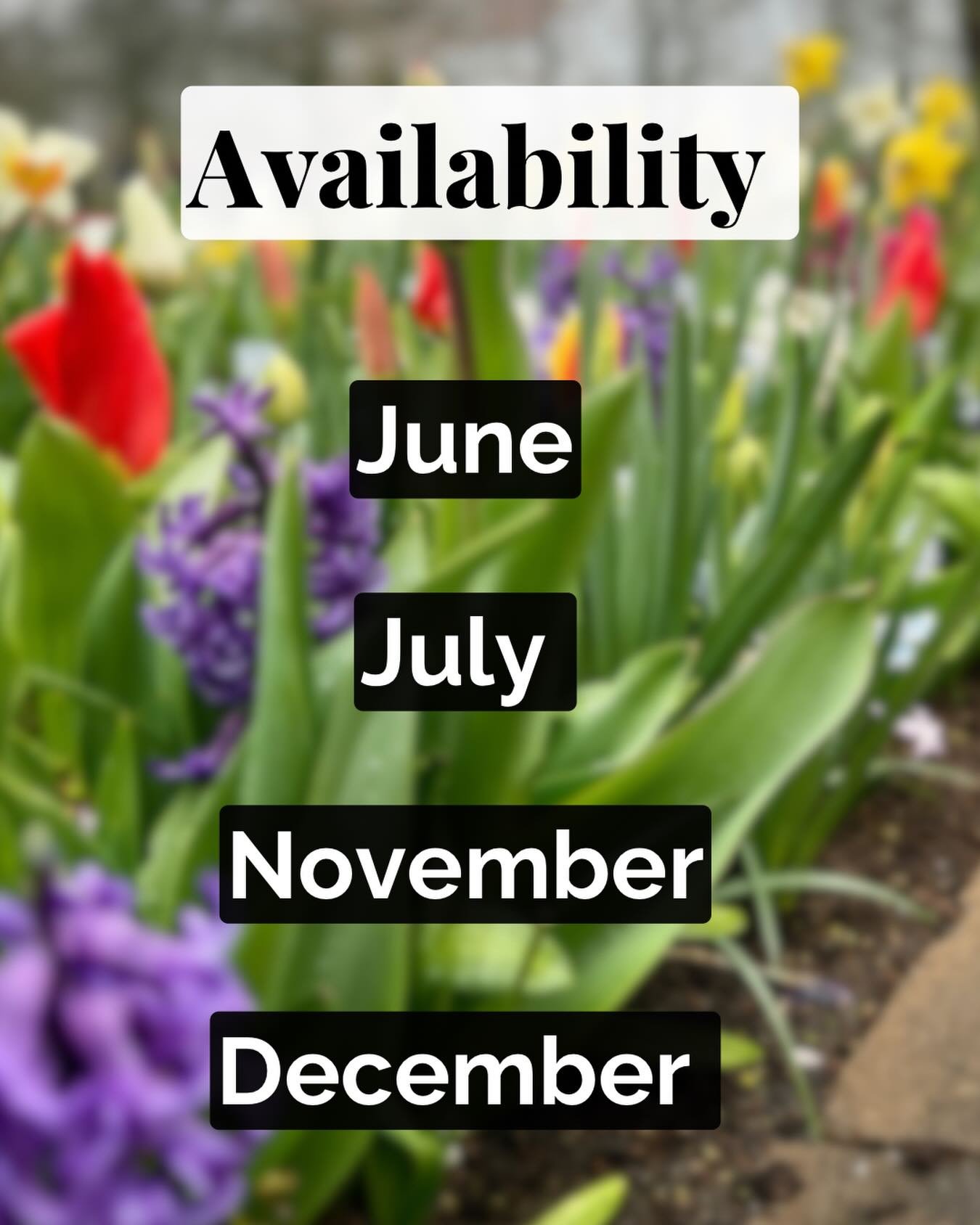 Availability Update 💫

I currently have space to support families with due dates in:

&bull; June 
&bull; July 
&bull; November 
&bull; December 

If you&rsquo;re dreaming of a birth where you feel safe, informed, empowered, and deeply supported, I 
