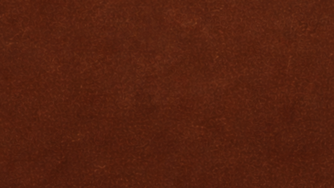 Close-up of a brown leather surface.