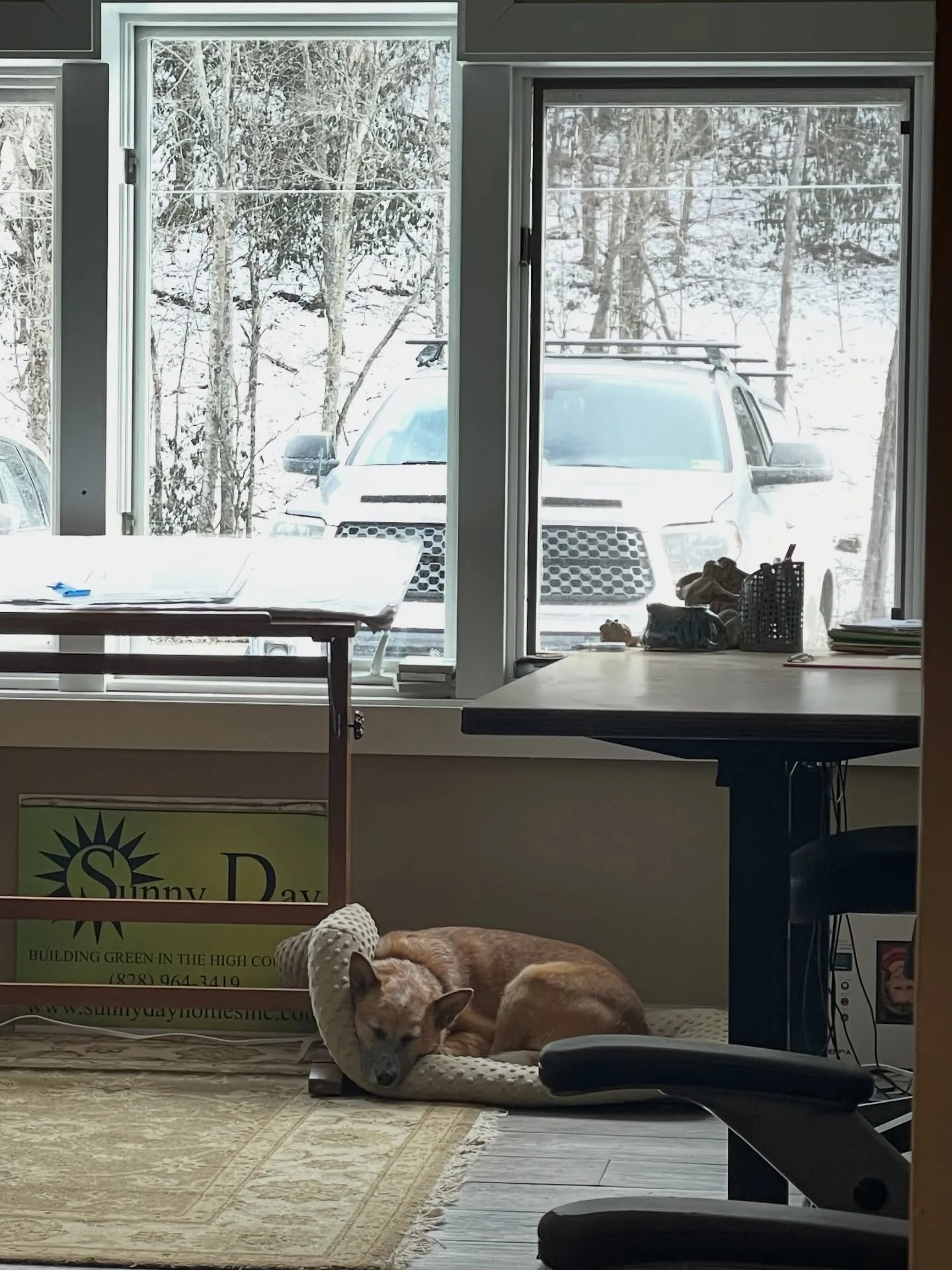 Snow finally arrived after all of that sleet ❄️⛄️

Hope everyone is staying warm, dry, and safe while these temps drop today!

#SunnyDayHomes