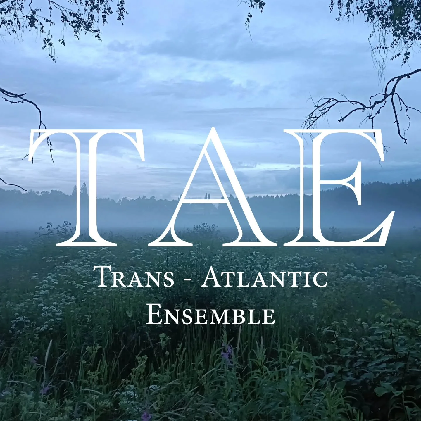 Coming soon: An announcement about our next concert. Watch this space!

#musicianlife #composer #classicalmusic #classicalconcert #londonnewmusic