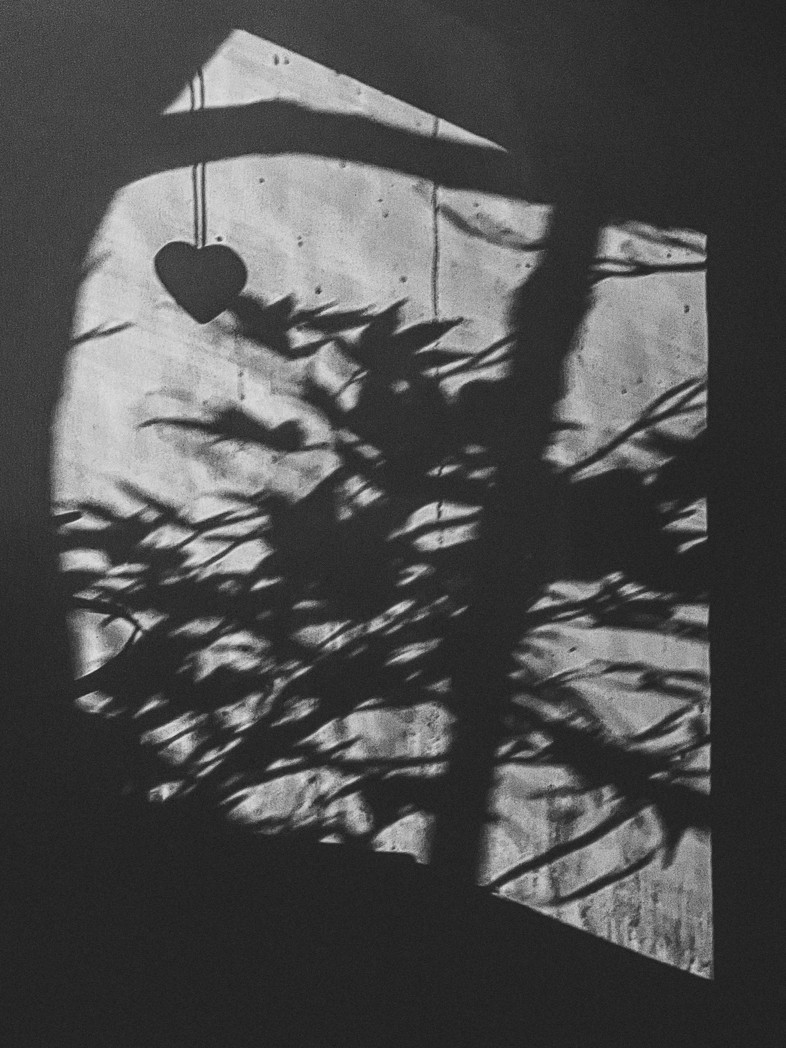 A shadow of a heart-shaped ornament and plant leaves cast on a wall, seen through a window or screen.