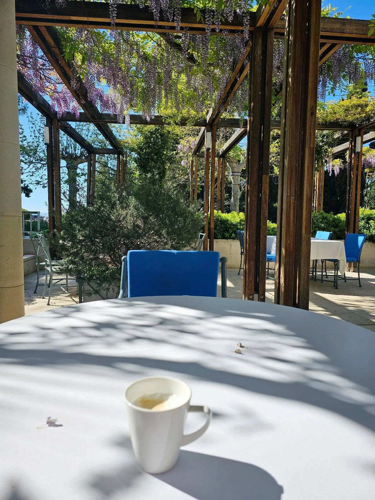 Outdoor terrace in spring and autumn with sunshine, greenery and calm atmosphere ideal for long-term living