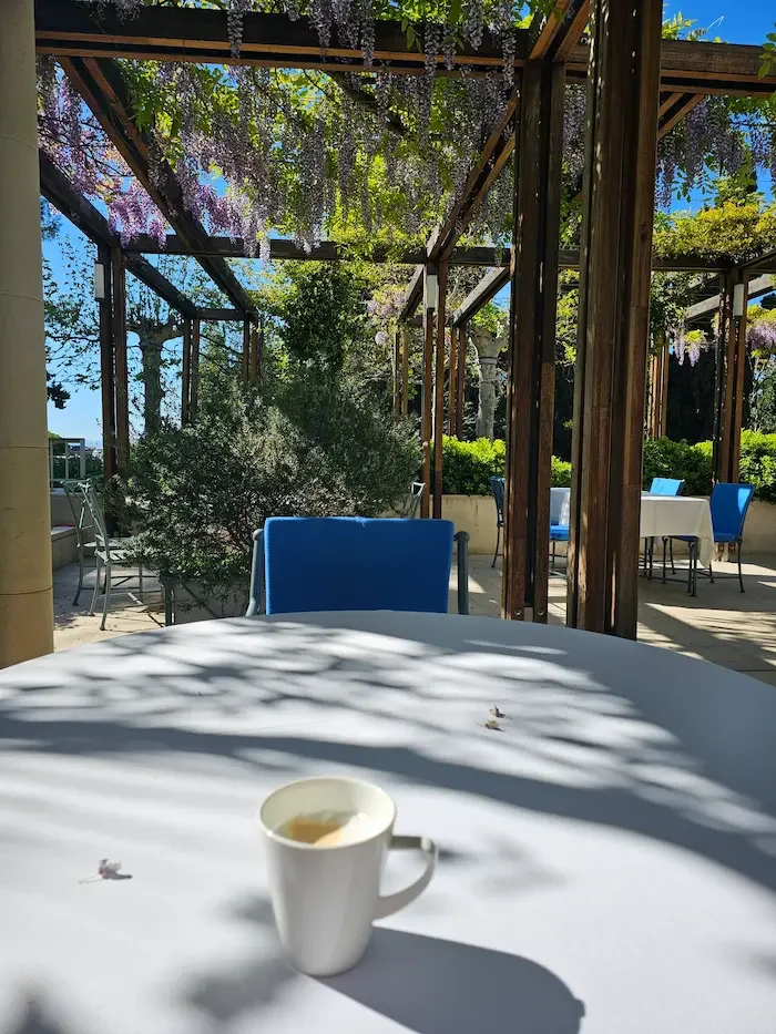 Outdoor terrace in spring and autumn with sunshine, greenery and calm atmosphere ideal for long-term living