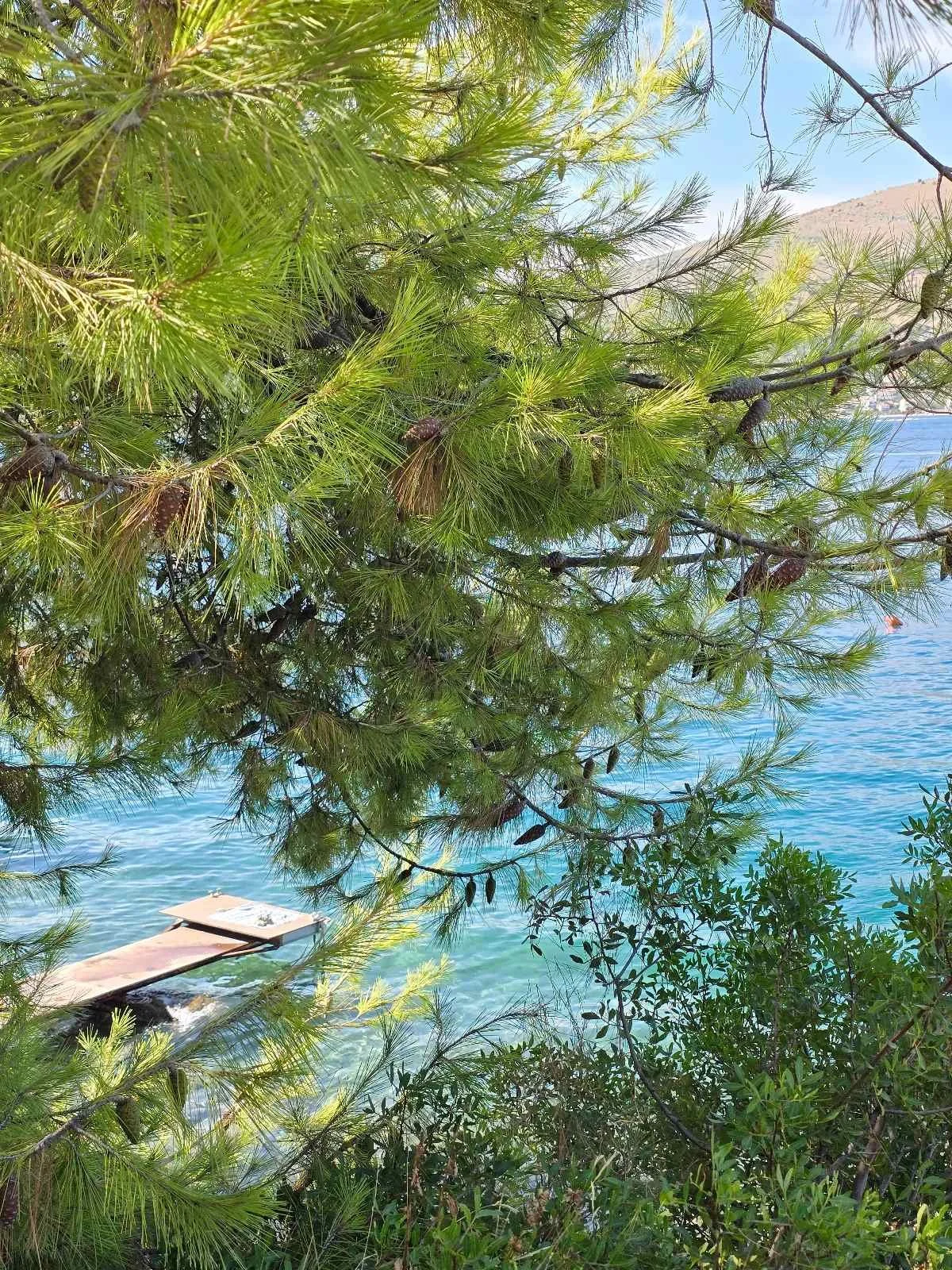 Seaside with pine trees, clear water and beach access combining nature with walking areas, restaurants and local infrastructure