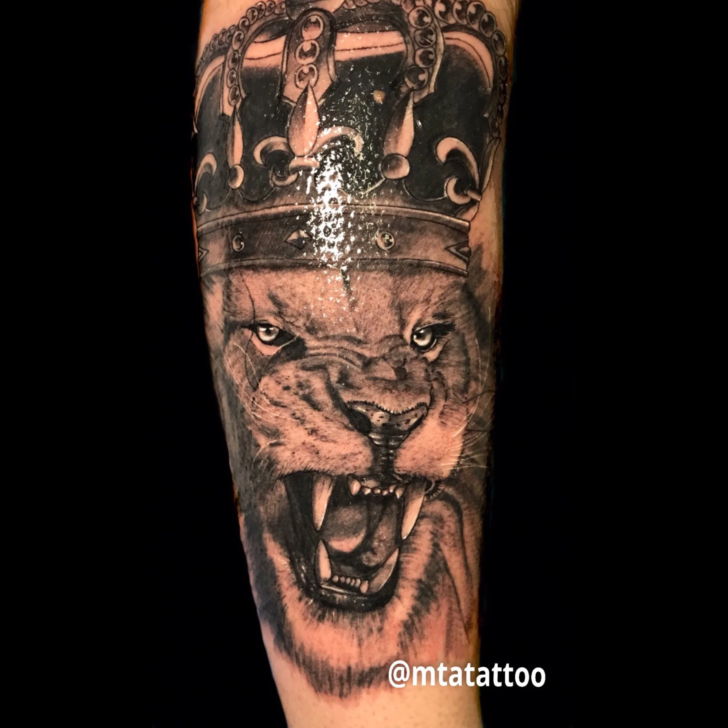 Tatuaggio di un leone arrabbiato con una corona sopra, in stile realistico, sul braccio di una persona.