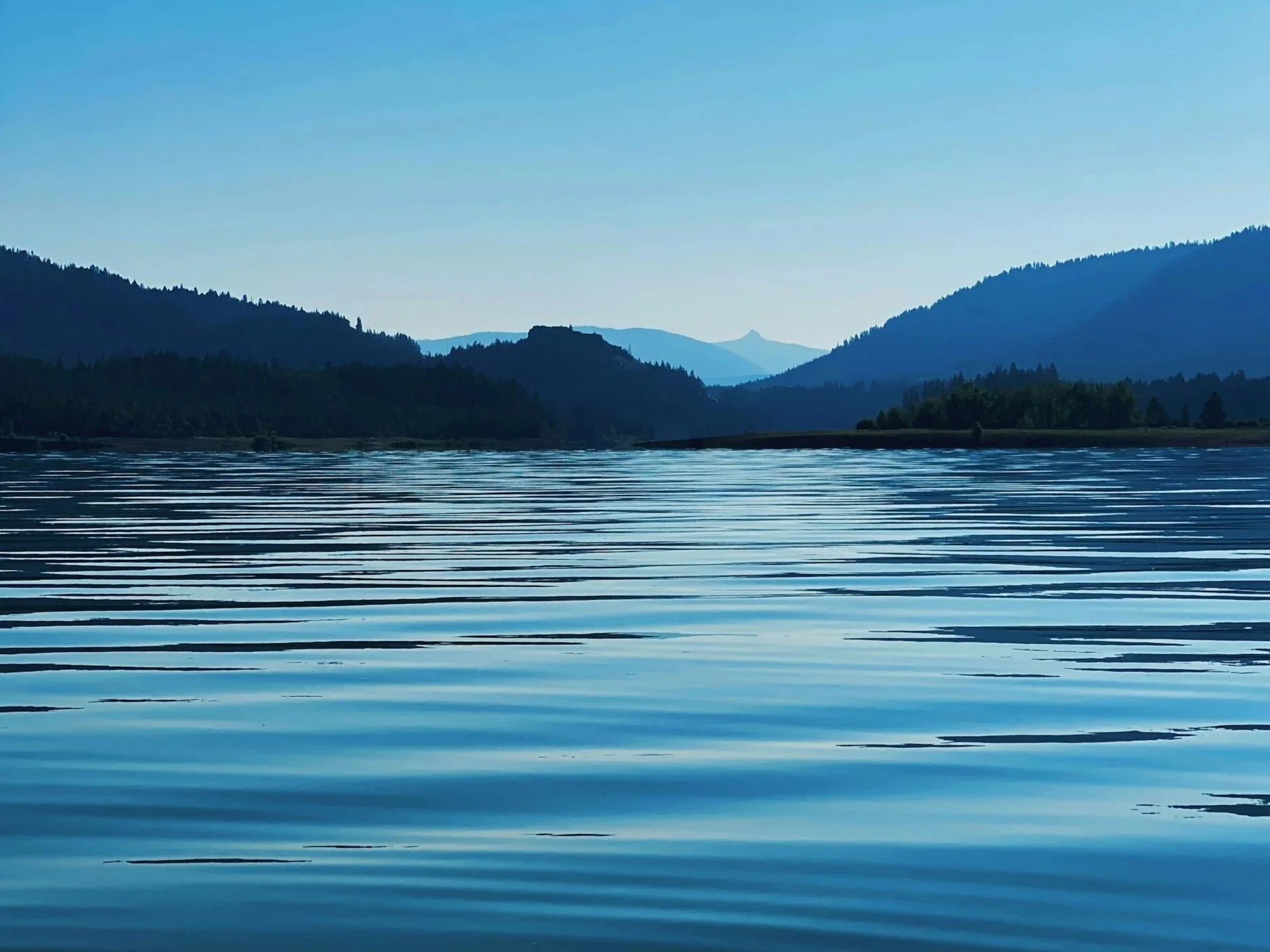 When the Search for Passion Ends, Purpose Begins