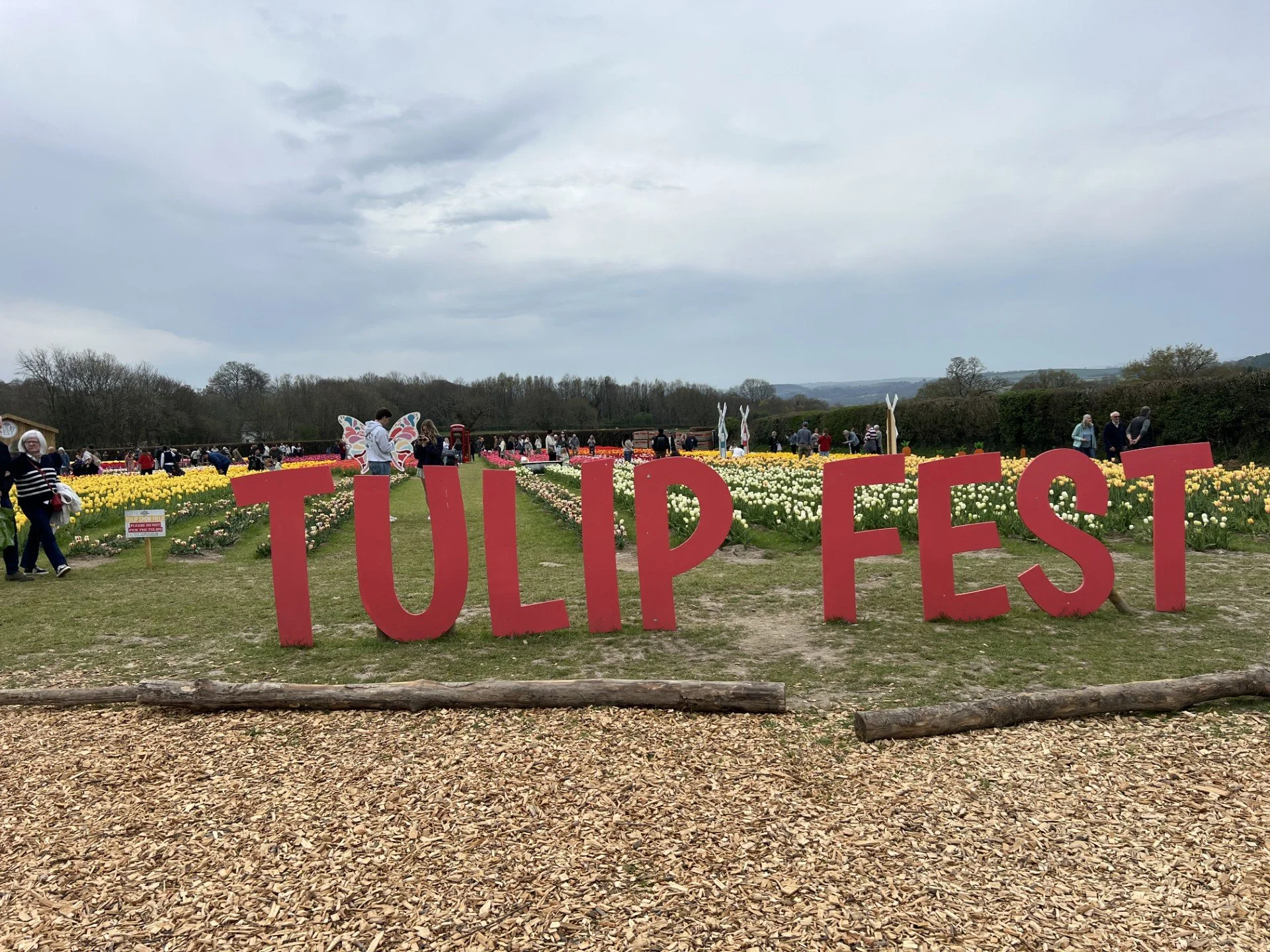 Tulip Fest.jpg