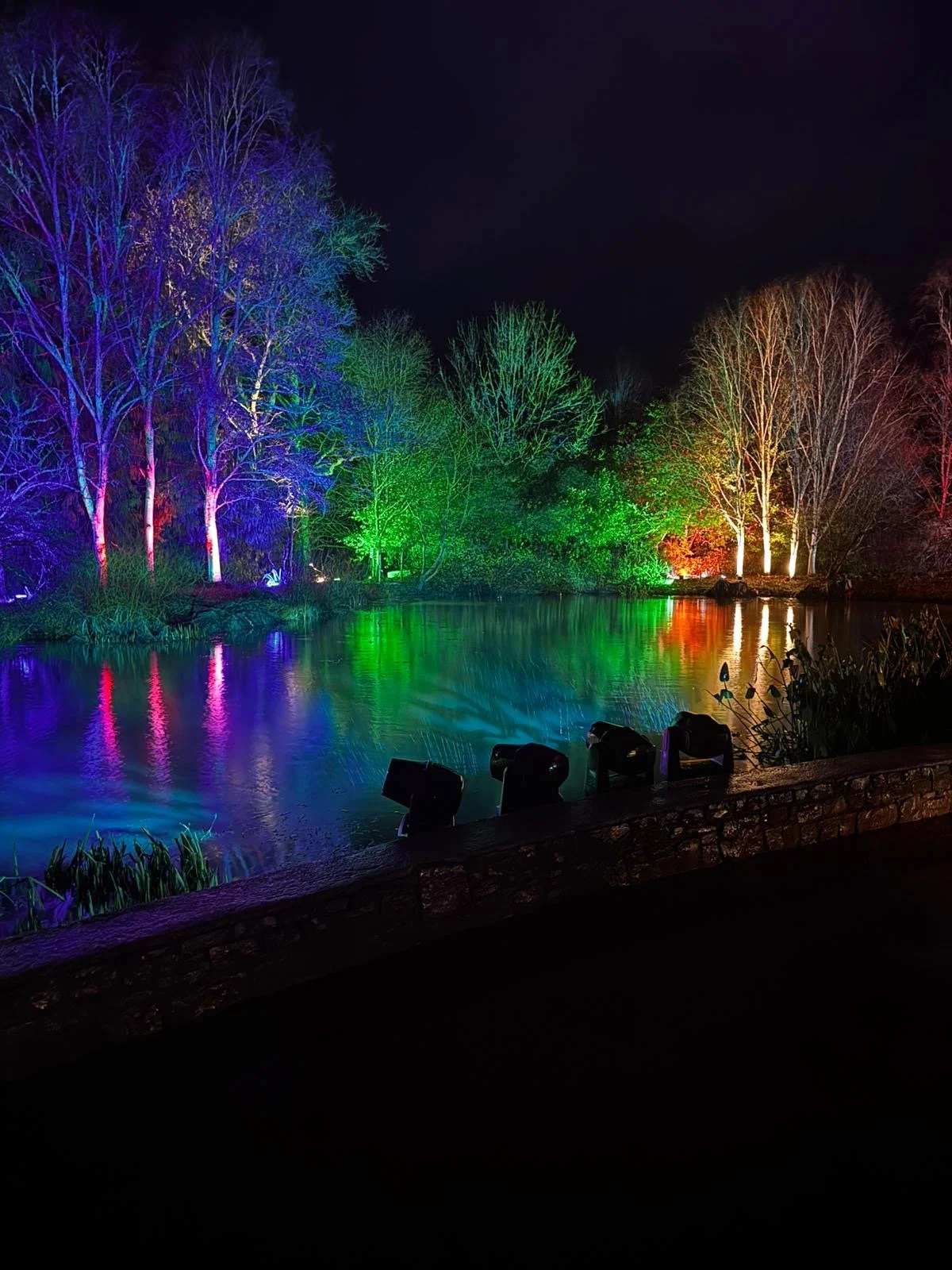 Rosemoor In Glow.jpg