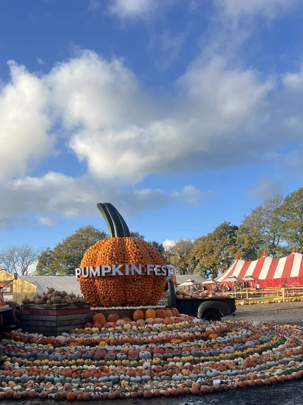 Pumpkin+Fest.jpg