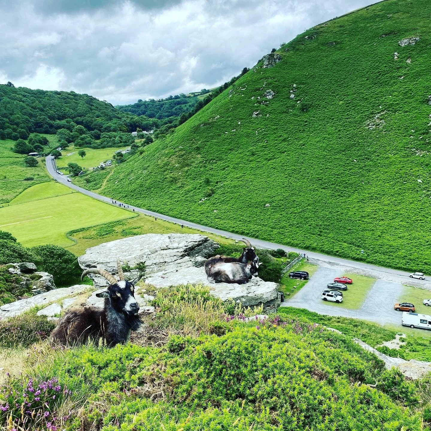 Valley Of The Rocks 8.jpg