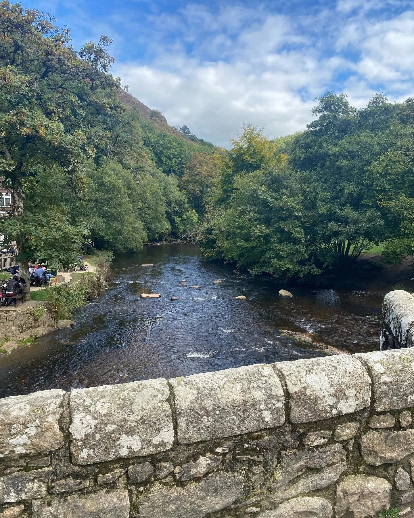 Exmoor 3.jpg