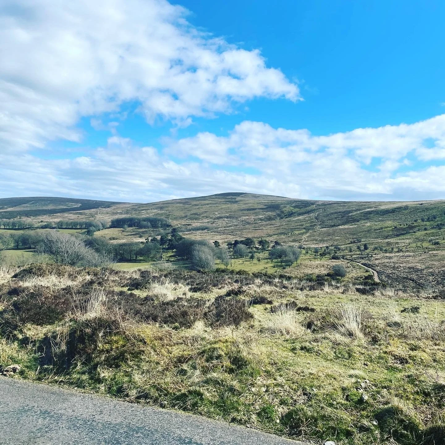 Exmoor 2.jpg