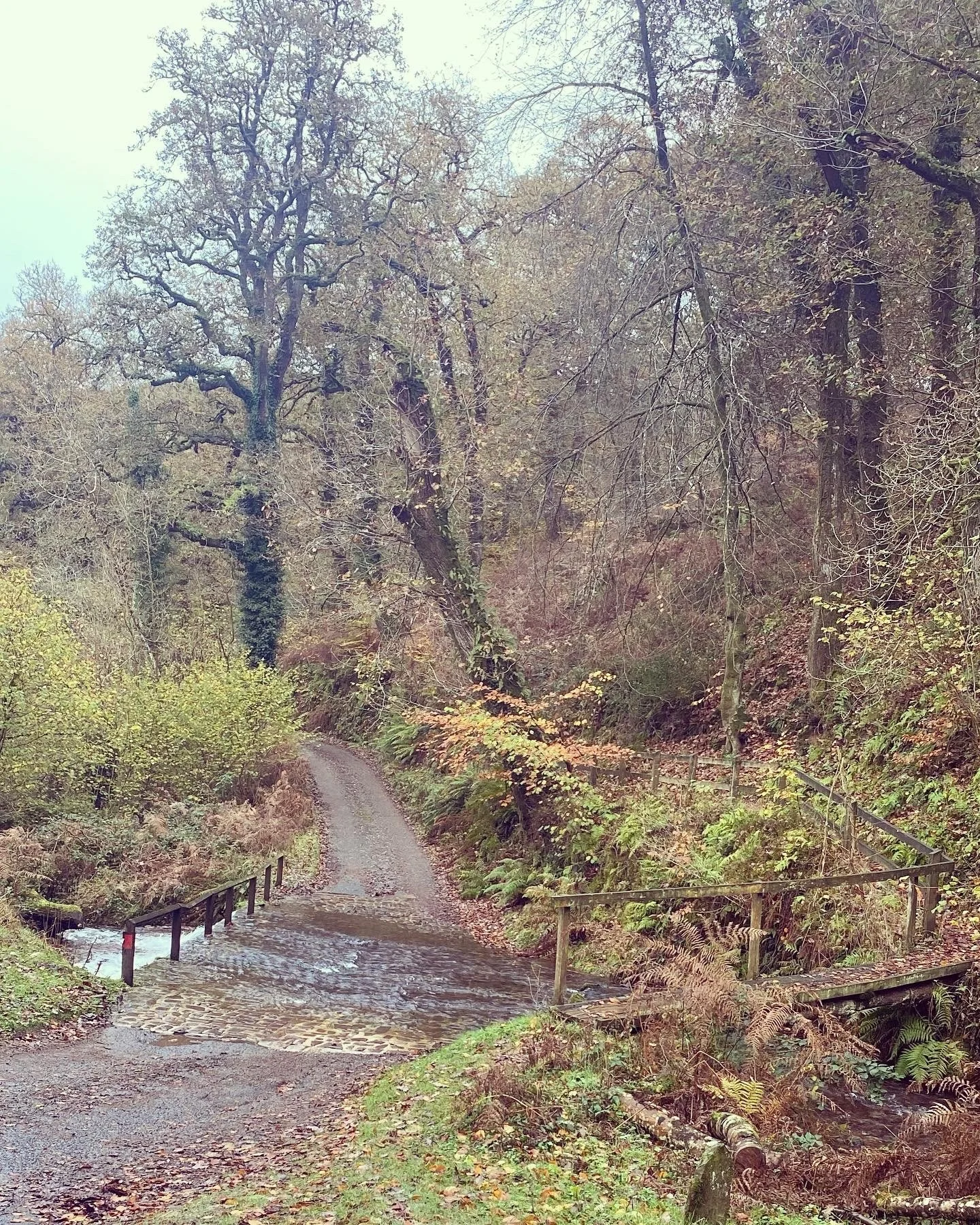 Exmoor 5.jpg