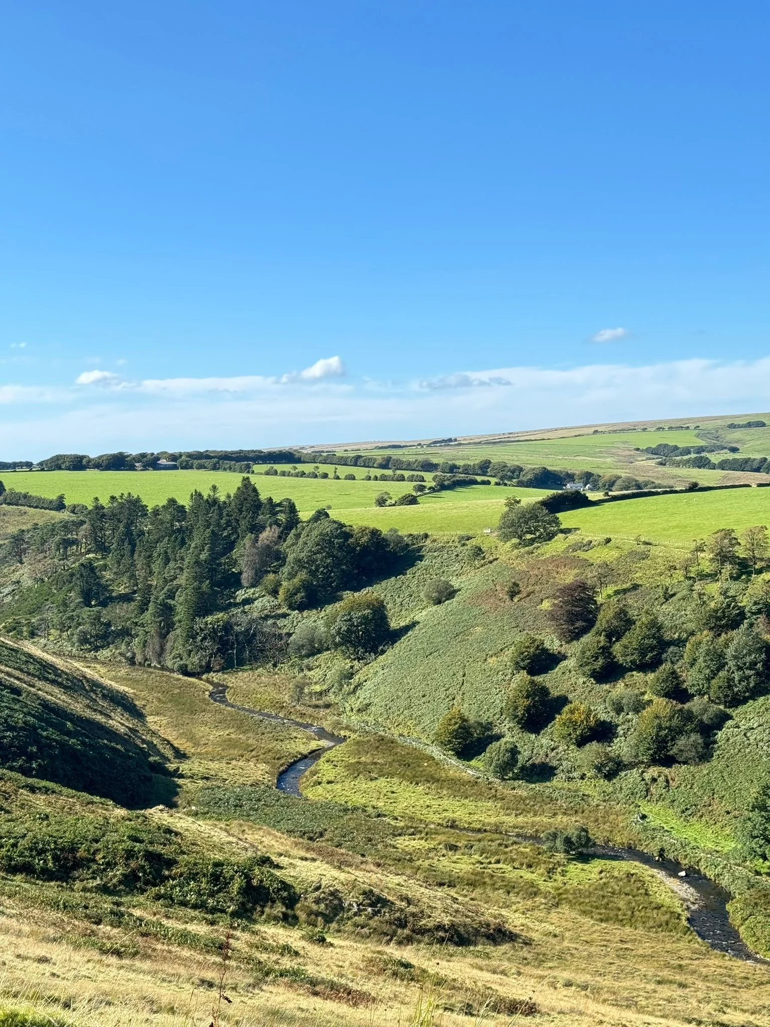 Valley Exmoor.jpg