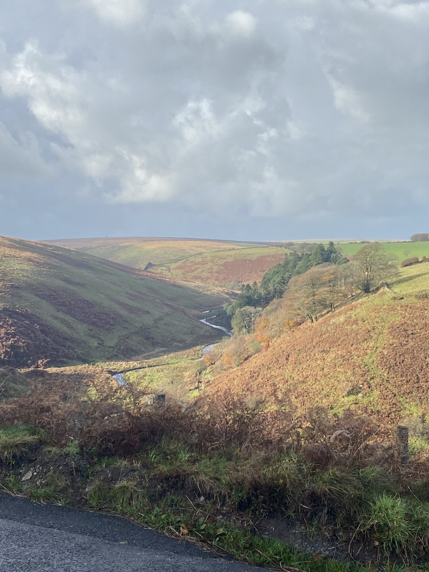 Exmoor 4.jpg