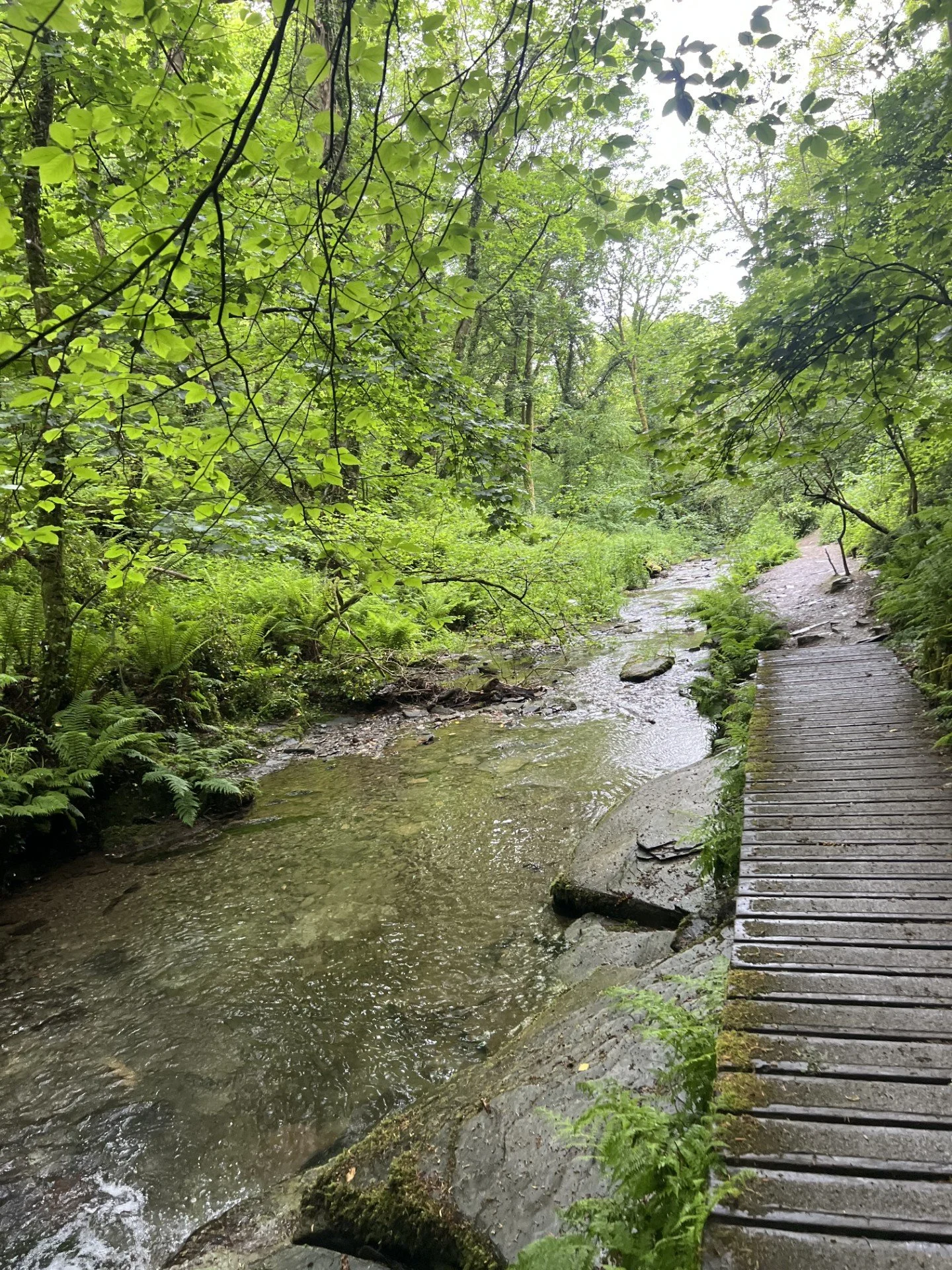 Walks.jpg