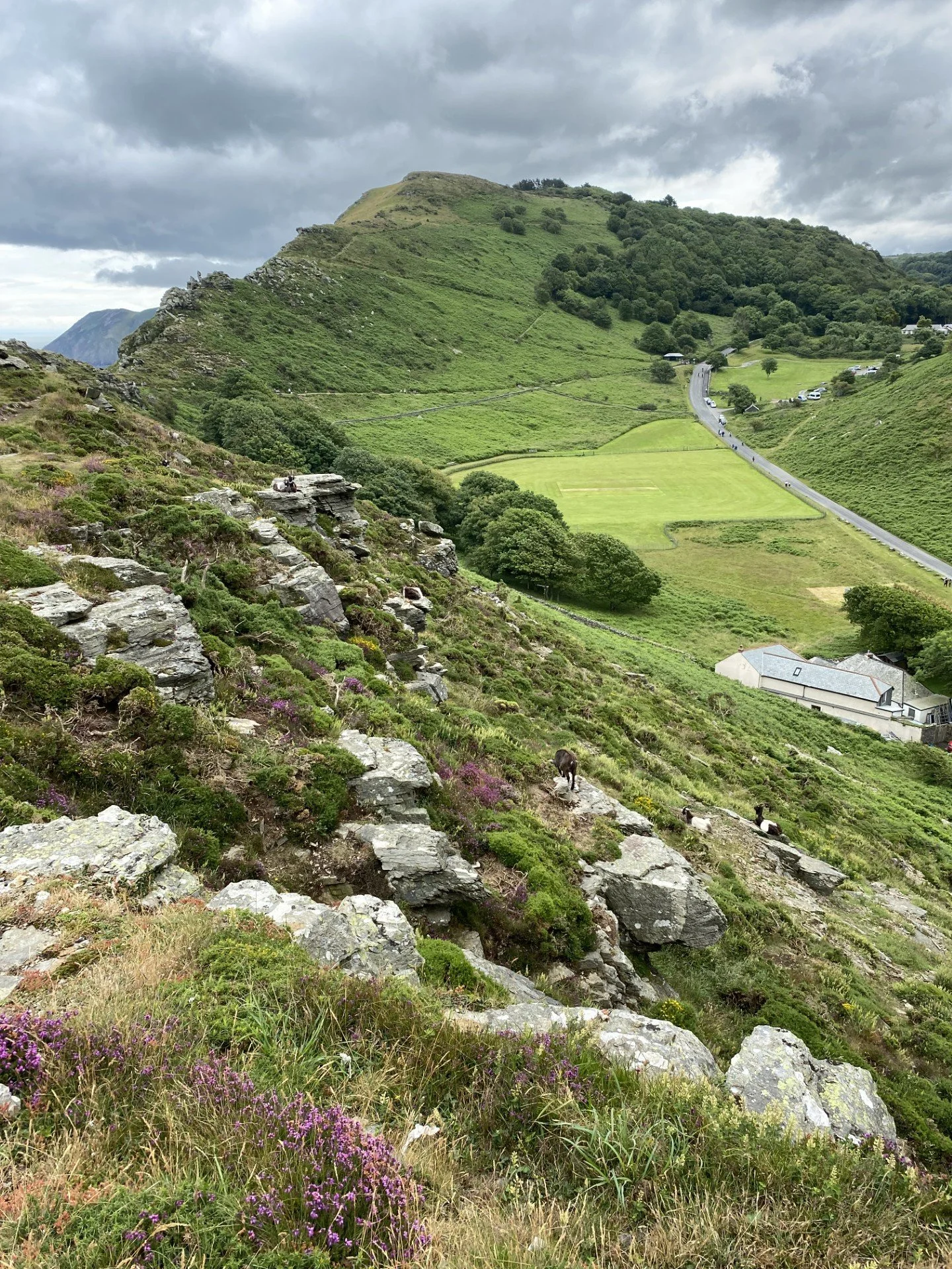 Valley Of The Rocks 2.jpg