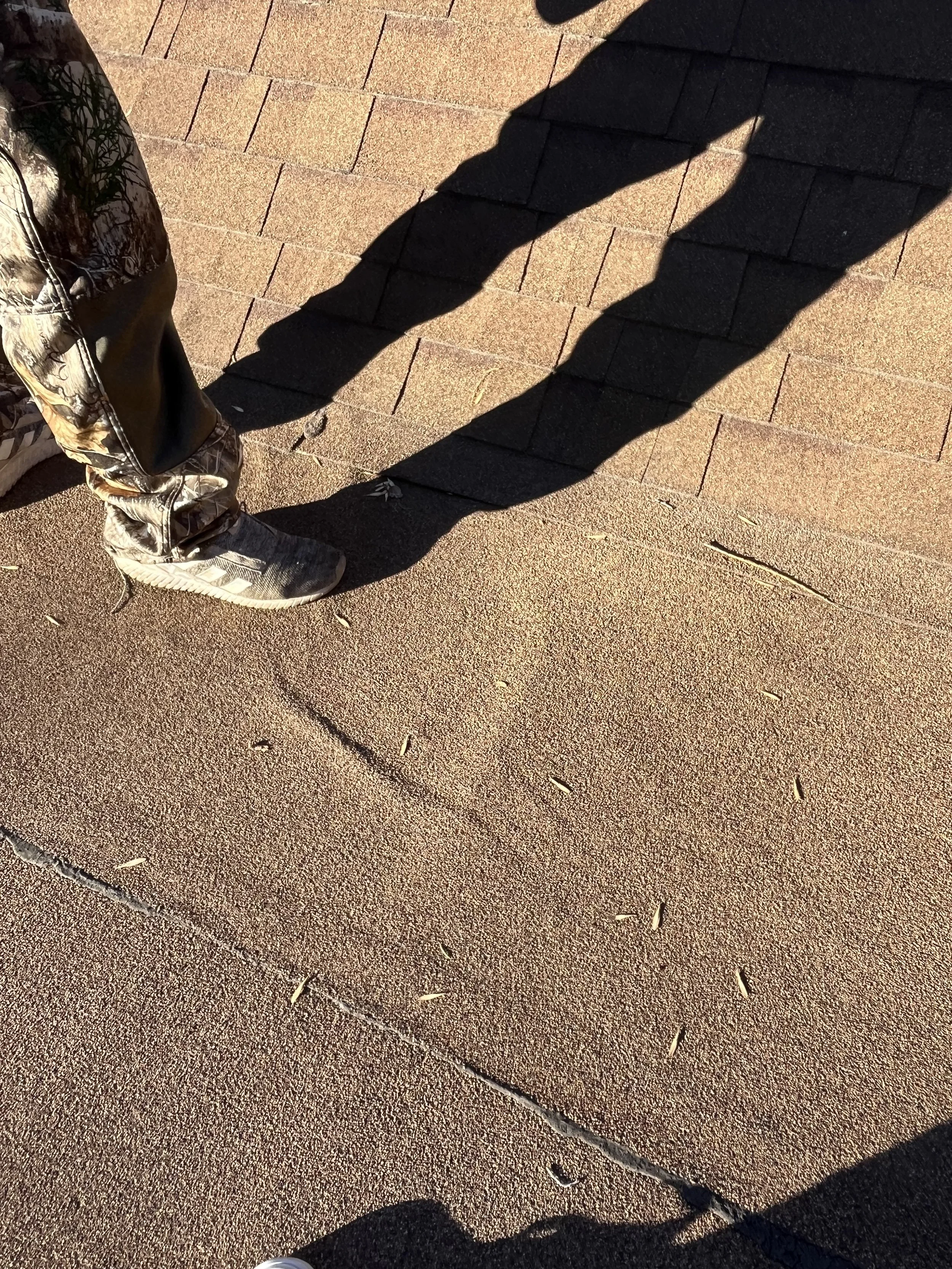 These ripples show water has now enter the membrane and the soft spot under my foot tell me there rot.