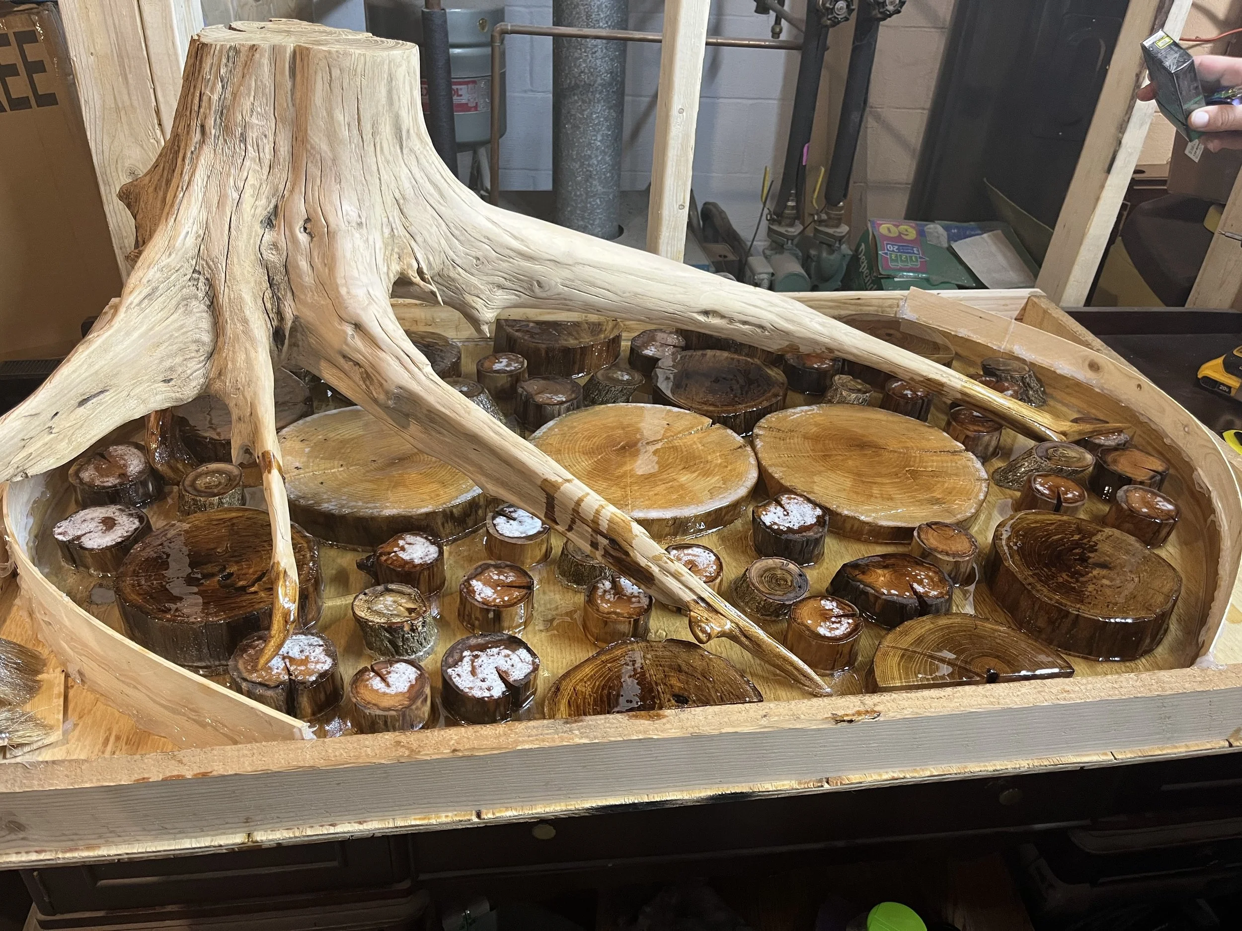 A woodworking project with a large, natural wood slab and numerous smaller wood slices embedded in a frame, some with white stats or glue on top.