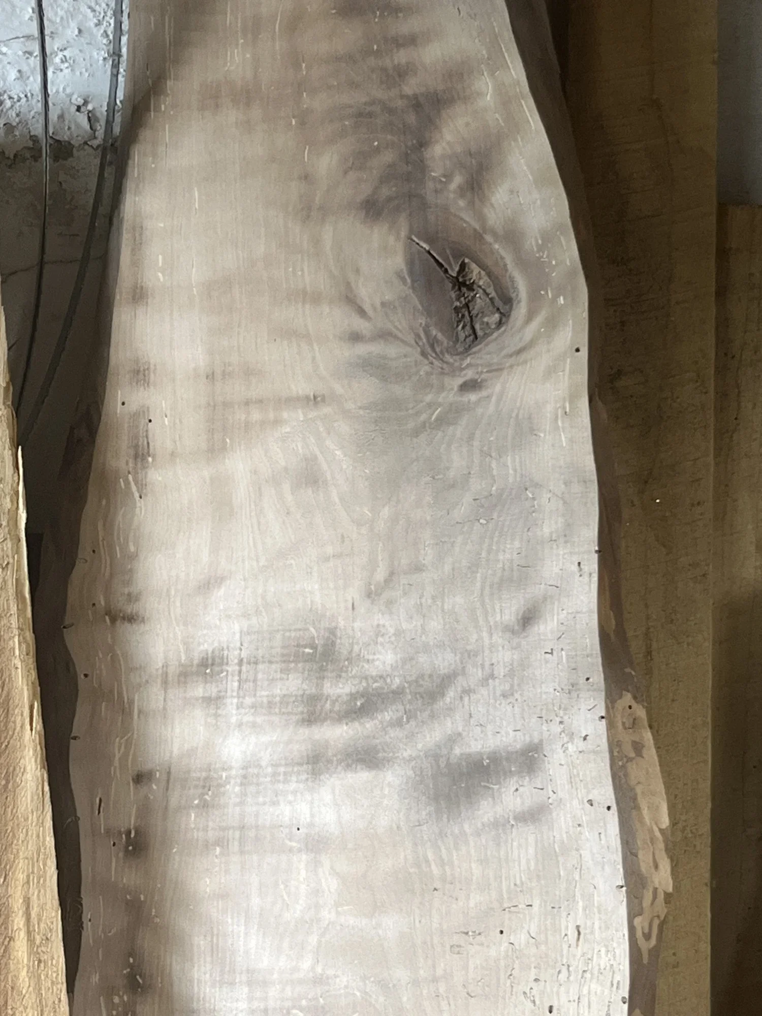 Close-up of a piece of light-colored wood with a prominent knot and cracks.