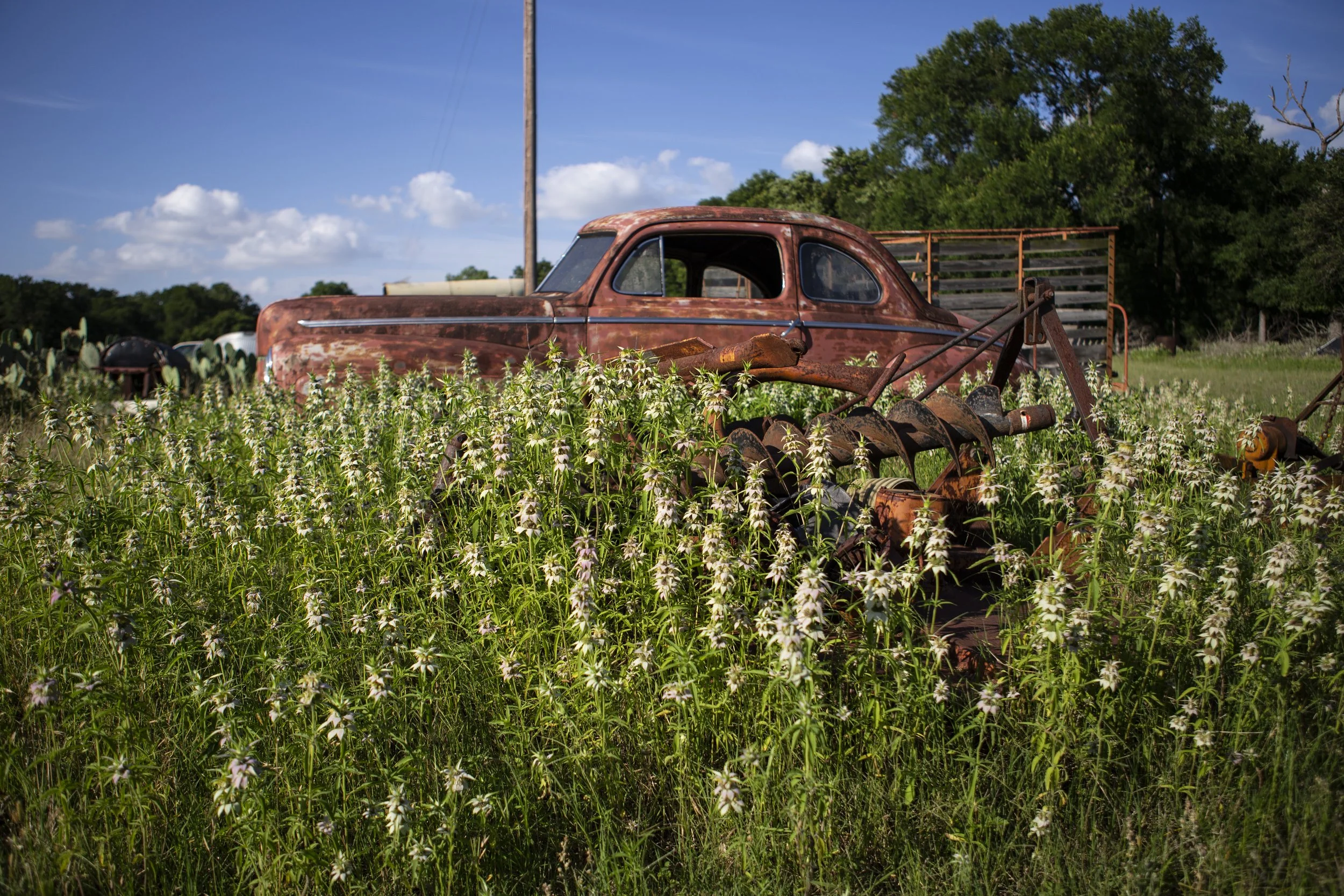 Cameron's Family Farm has been in our family for generations and we strive to bring the best natural products to our customers.