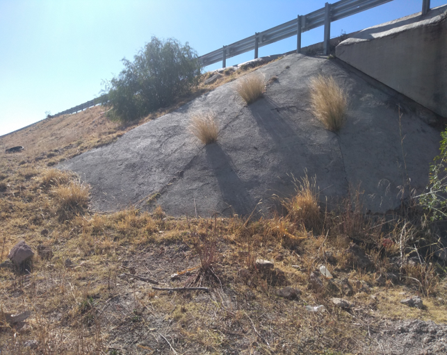 Vista de un terreno árido con una pendiente de tierra y rocas, con algunas plantas secas y un arbusto cerca de una estructura de barrera o baranda metálica en la parte superior.