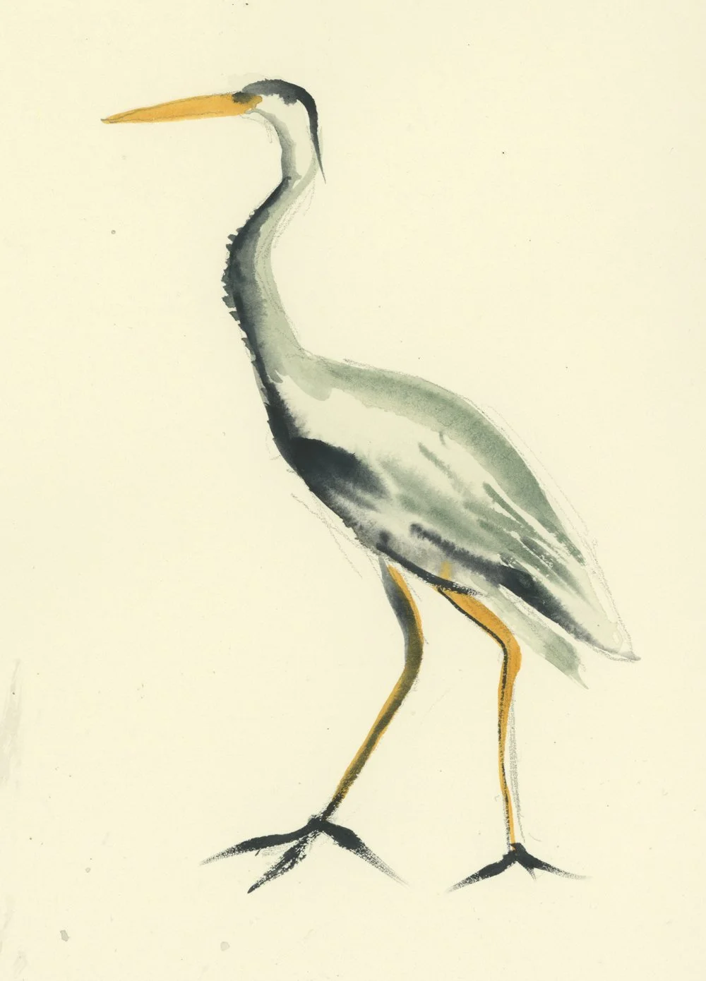 Watercolor painting of a heron standing on one leg with a pale background.